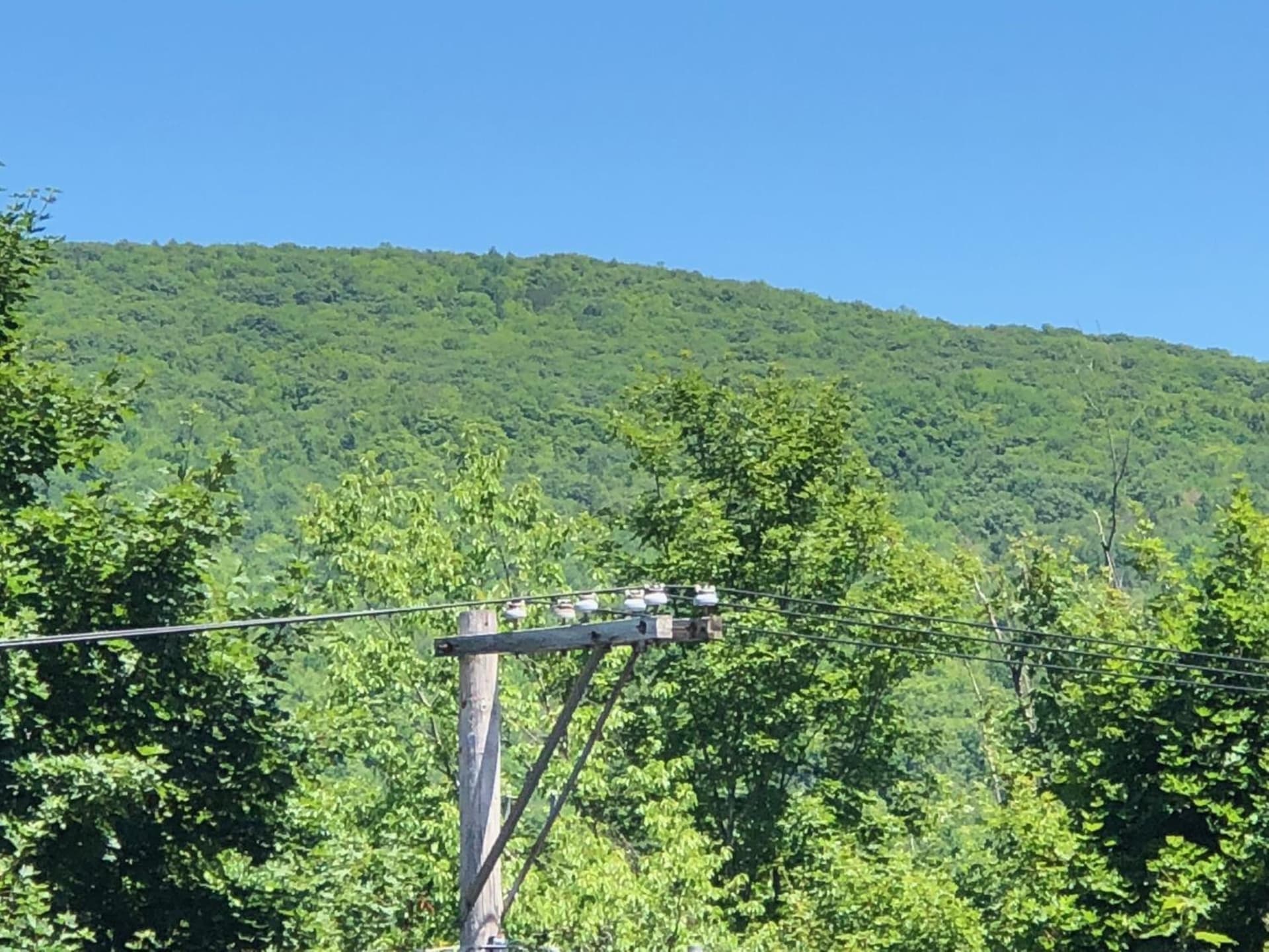 Antique Rose Inn Windham gallery photo in Windham — image 31