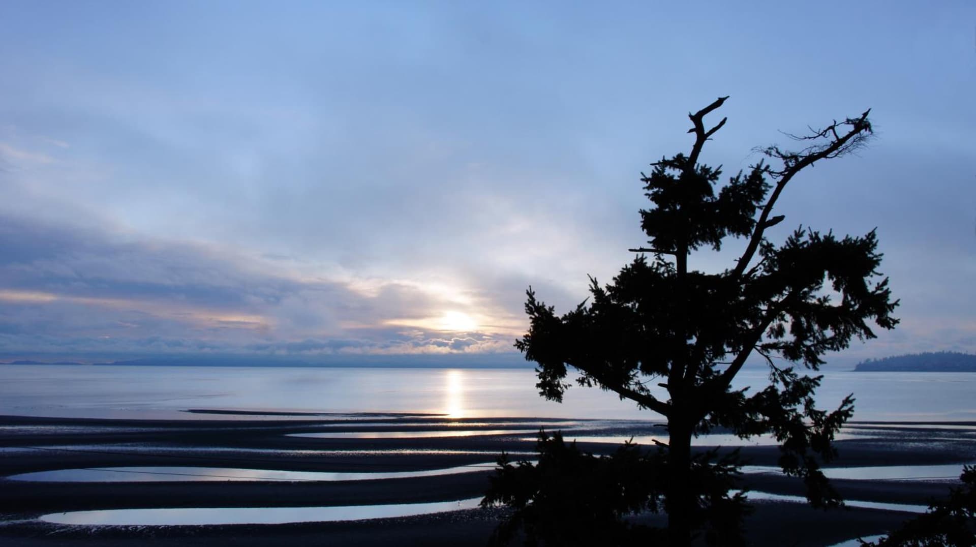 Raintree's Sandcastle, Birch Bay gallery photo in Blaine, WA — image 43