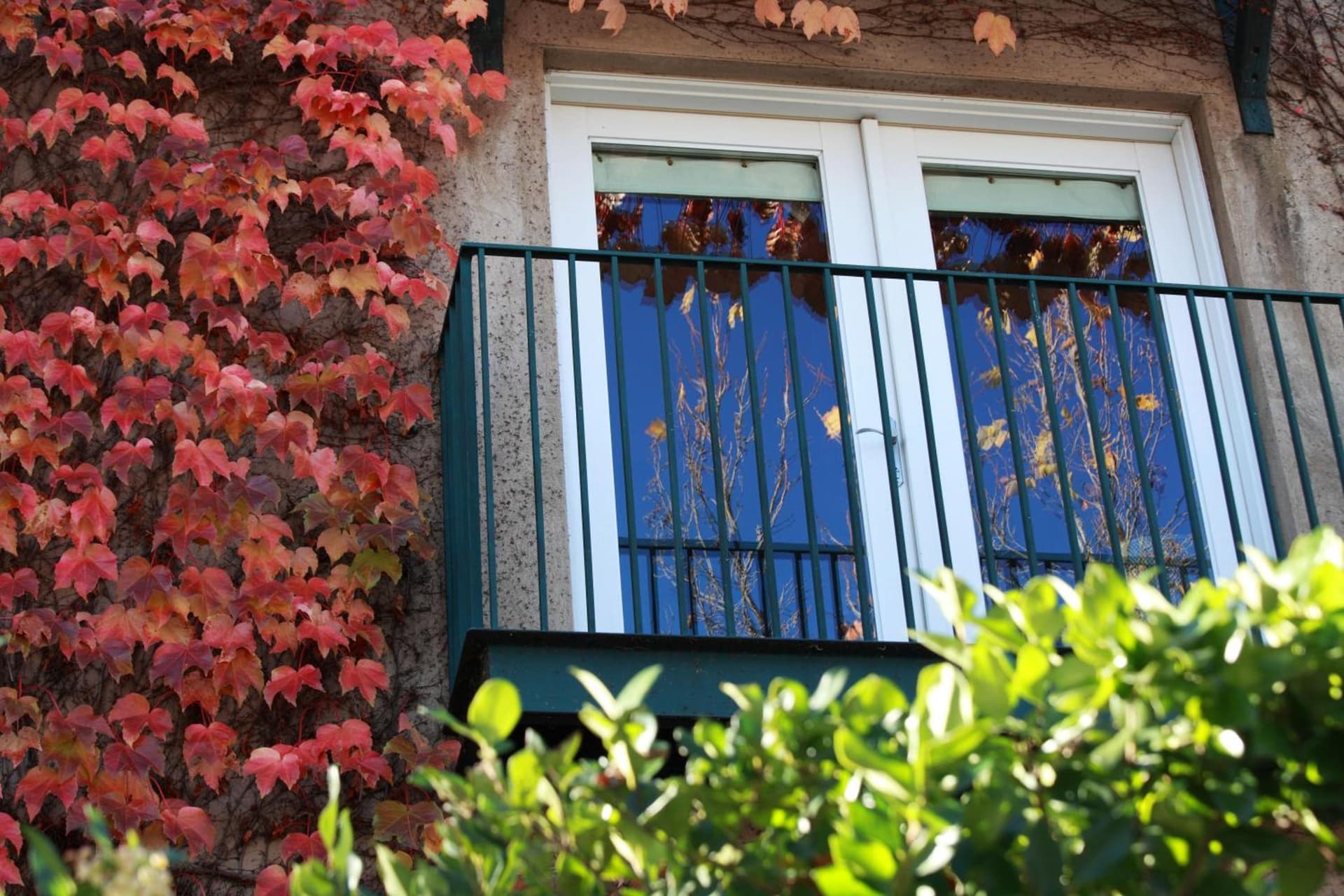 Southbridge Napa Valley gallery photo in St. Helena, CA — image 11