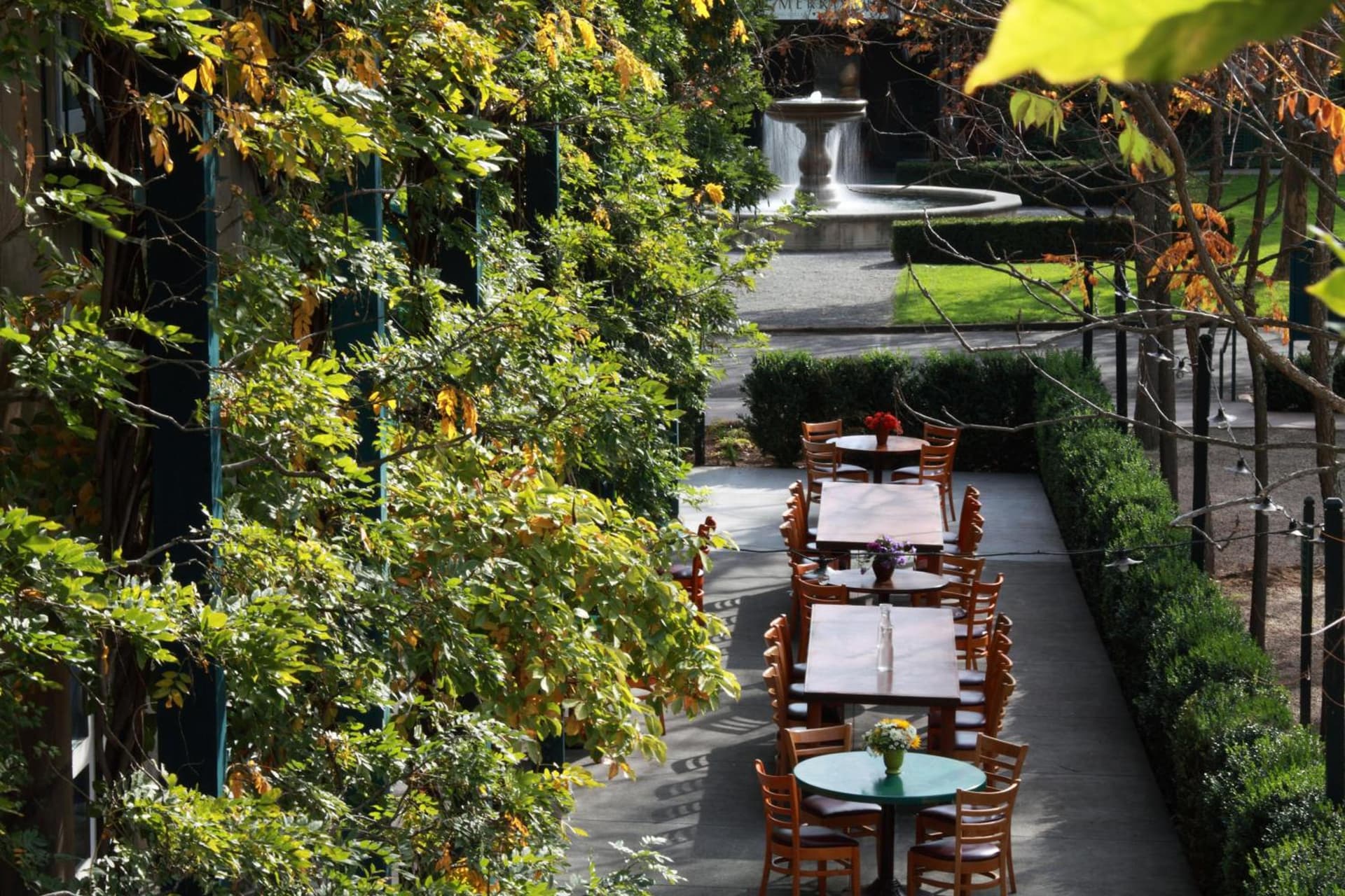 Southbridge Napa Valley gallery photo in St. Helena, CA — image 21