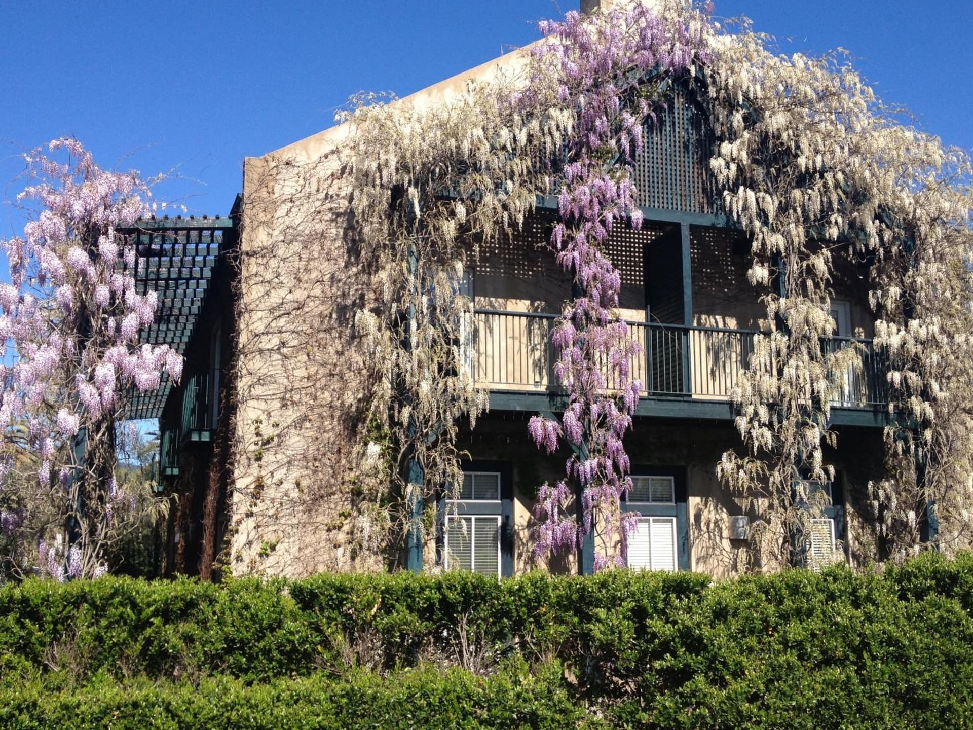 Southbridge Napa Valley gallery photo in St. Helena, CA — image 9