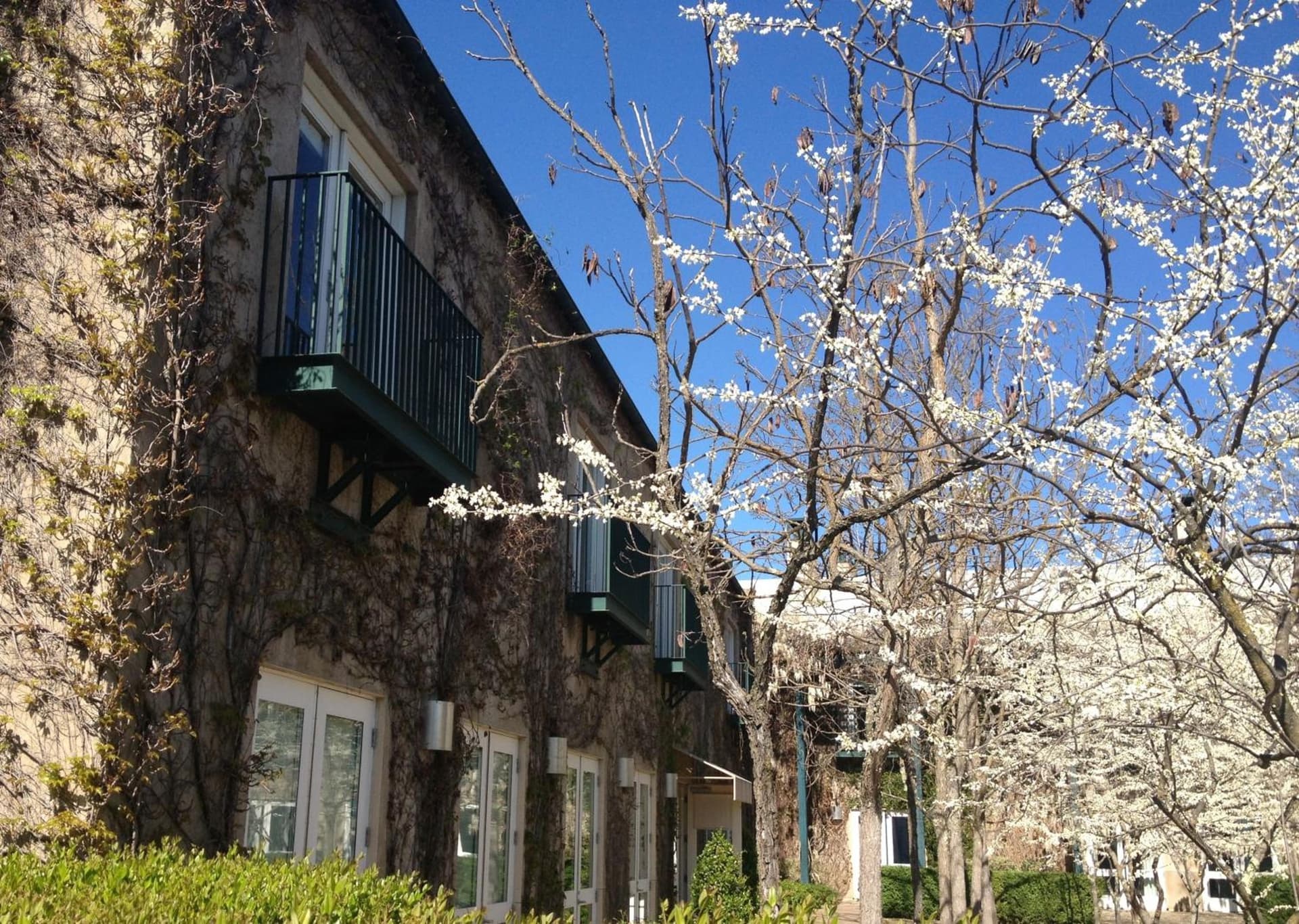 Southbridge Napa Valley gallery photo in St. Helena, CA — image 15