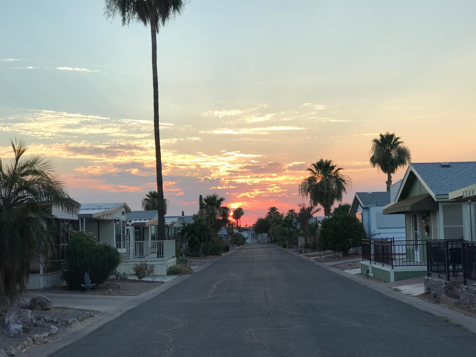 Monte Vista Resort-Age 55 Plus gallery photo in Mesa, AZ — image 12