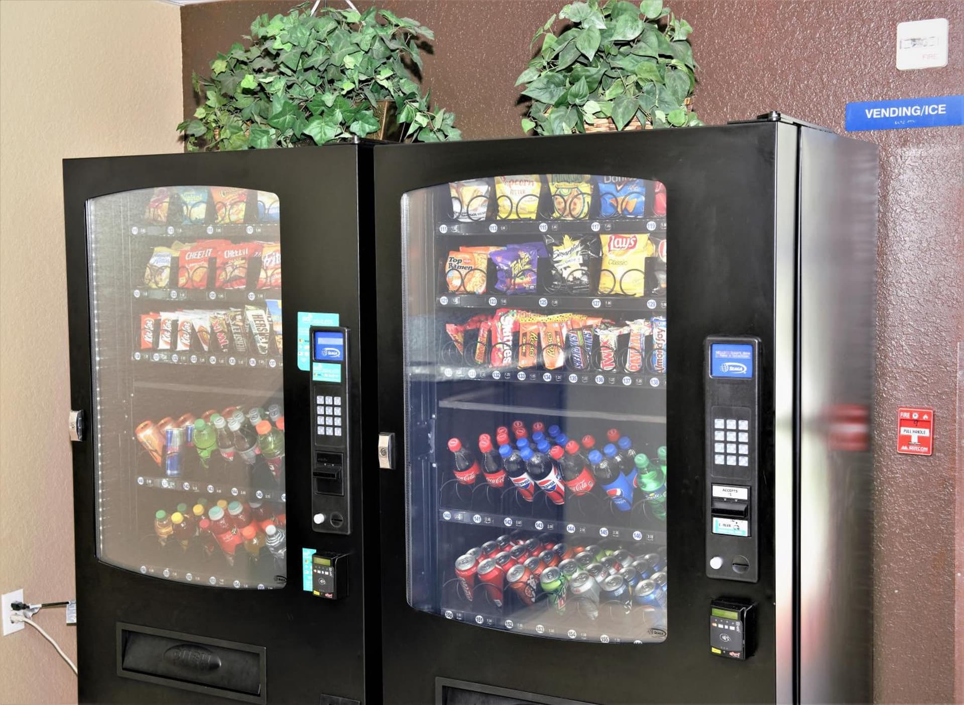 Microtel Inn & Suites by Wyndham Jacksonville Airport gallery photo in Jacksonville, FL — image 16