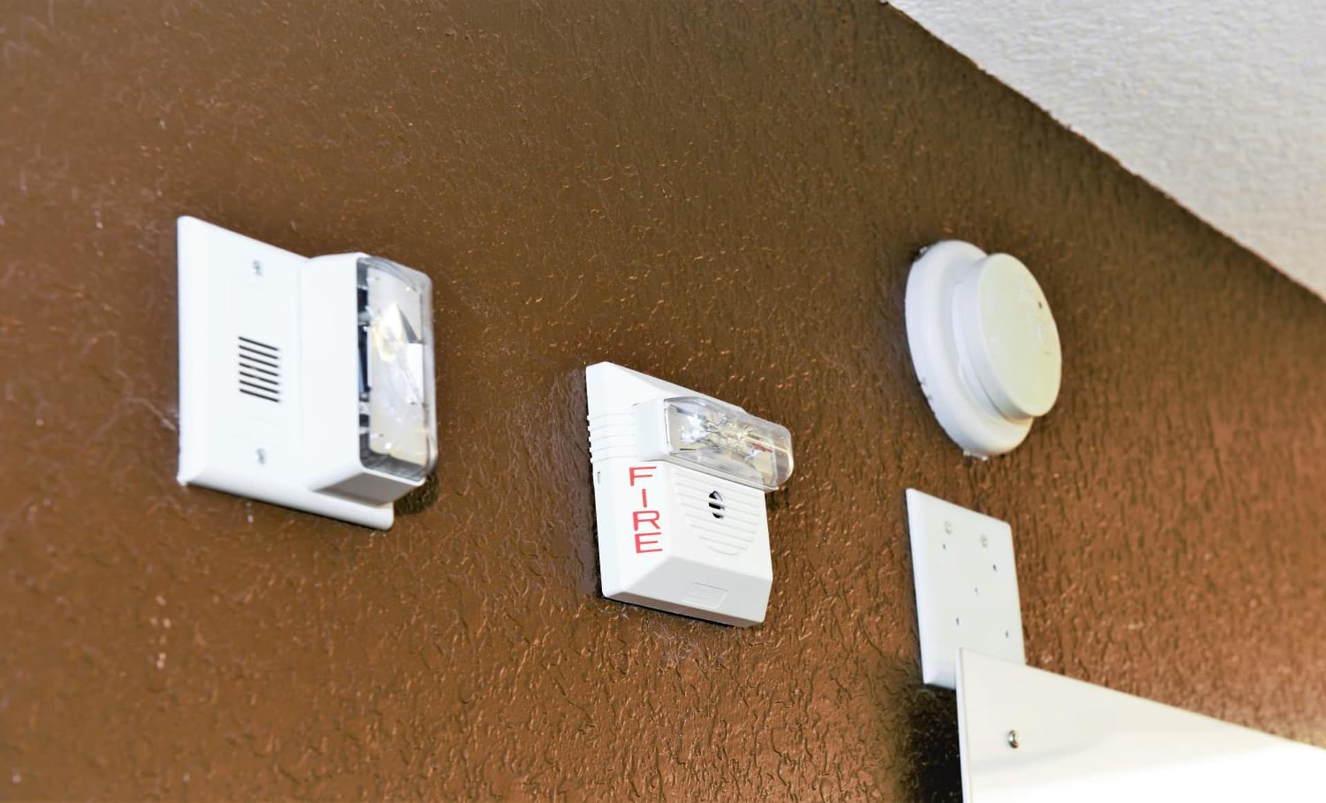 Microtel Inn & Suites by Wyndham Jacksonville Airport gallery photo in Jacksonville, FL — image 22