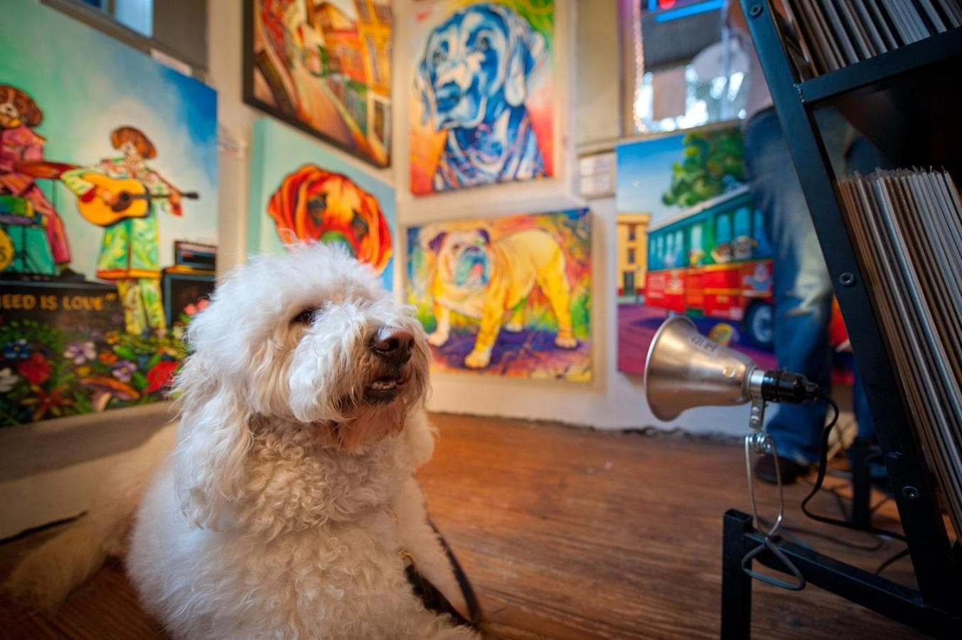 The Thunderbird Inn gallery photo in Savannah, GA — image 7
