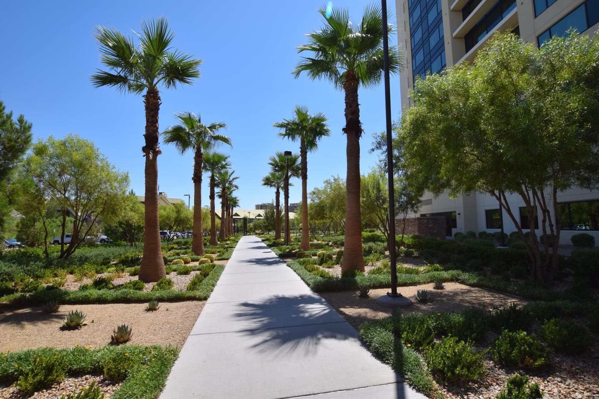 The Berkley Las Vegas gallery photo in Las Vegas, NV — image 5