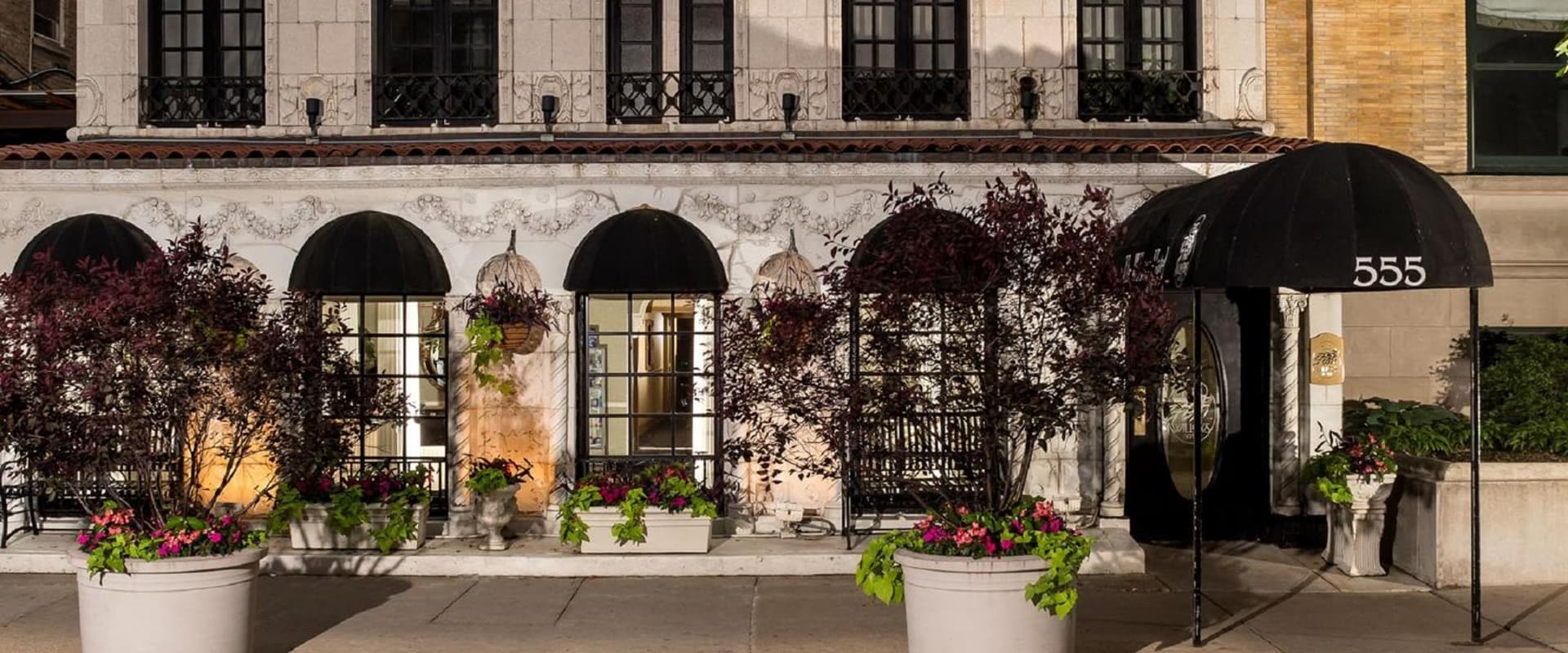 The Willows Hotel gallery photo in Chicago, IL — image 7