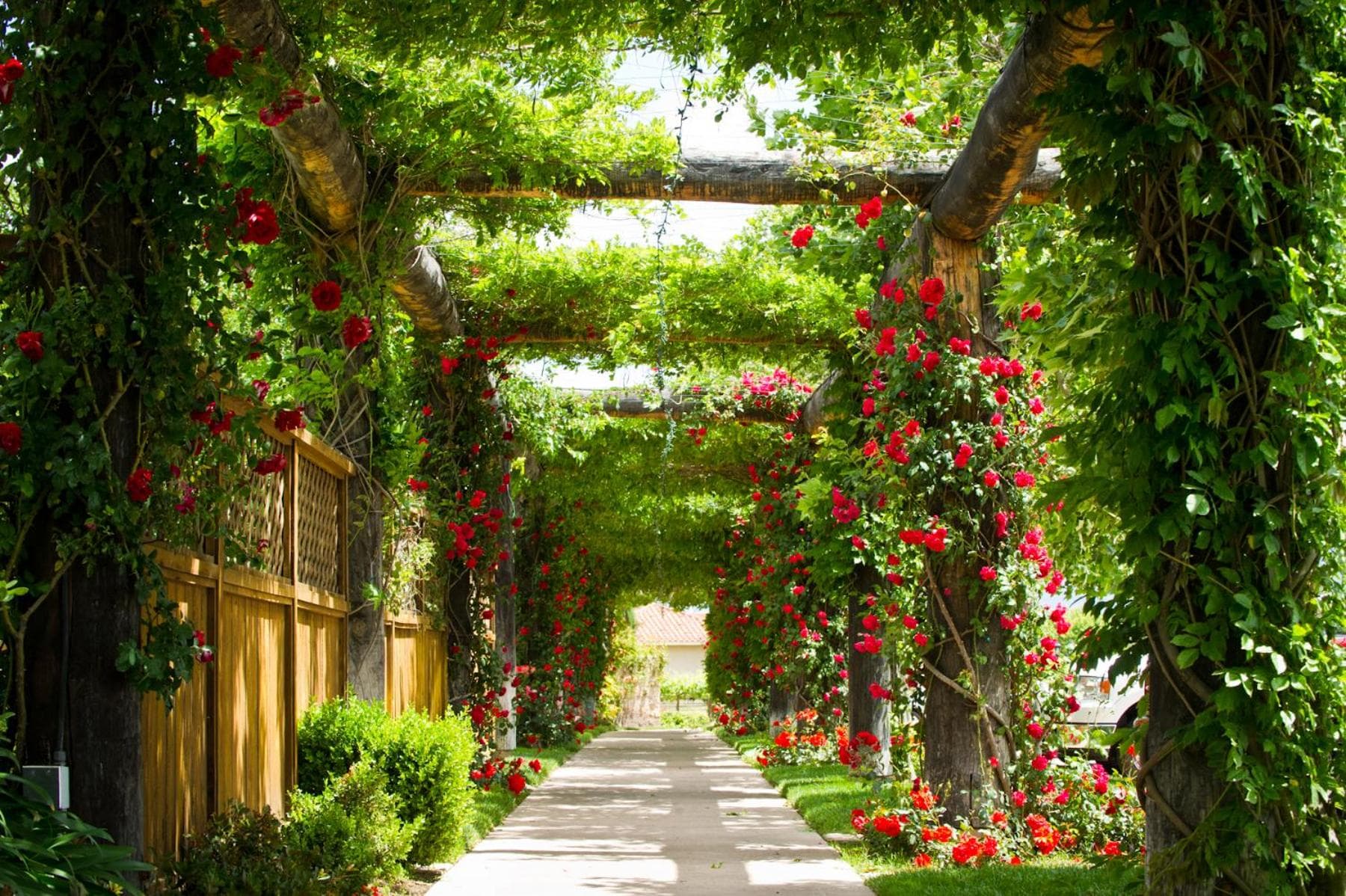 South Coast Winery Resort & Spa gallery photo in Temecula, CA — image 6