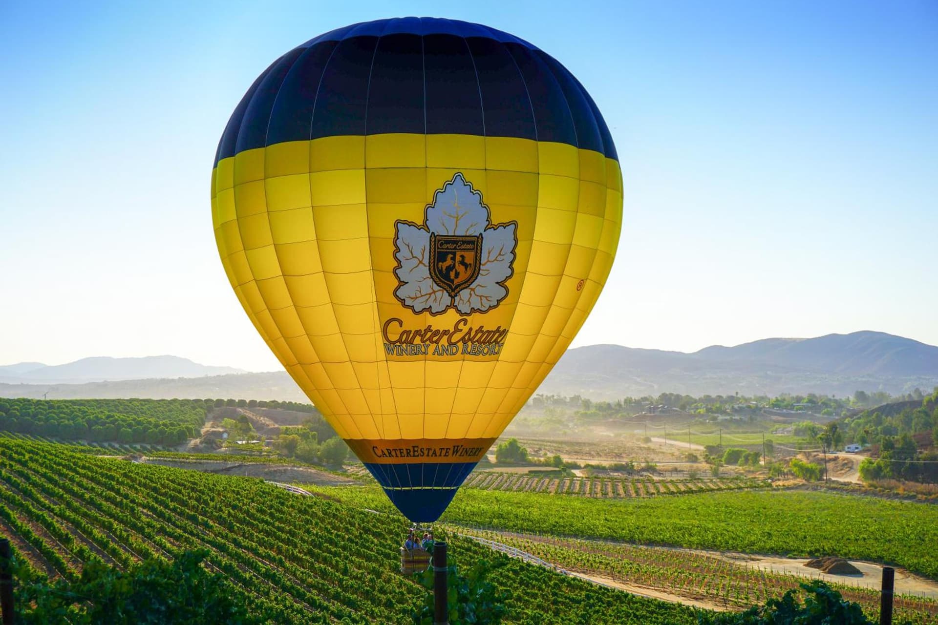 Carter Estate Winery and Resort gallery photo in Temecula, CA — image 5