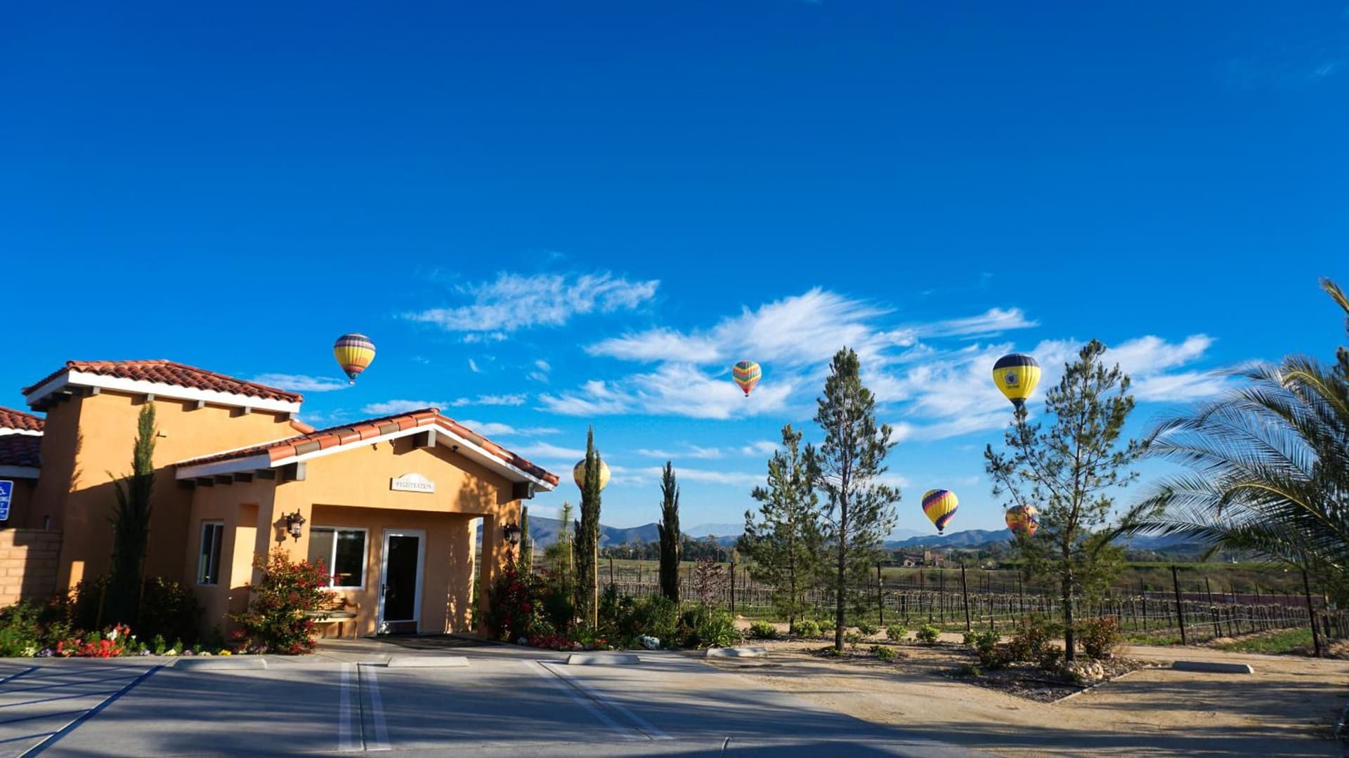 Carter Estate Winery and Resort gallery photo in Temecula, CA — image 40