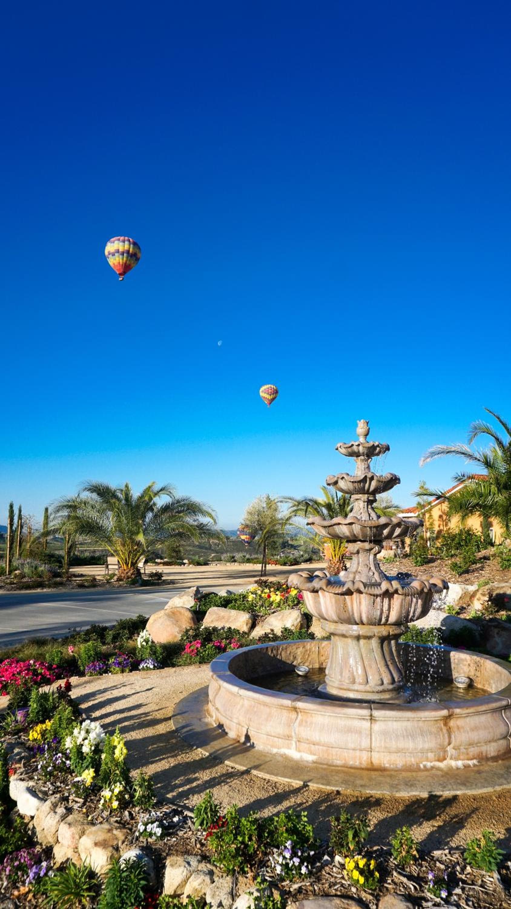 Carter Estate Winery and Resort gallery photo in Temecula, CA — image 27