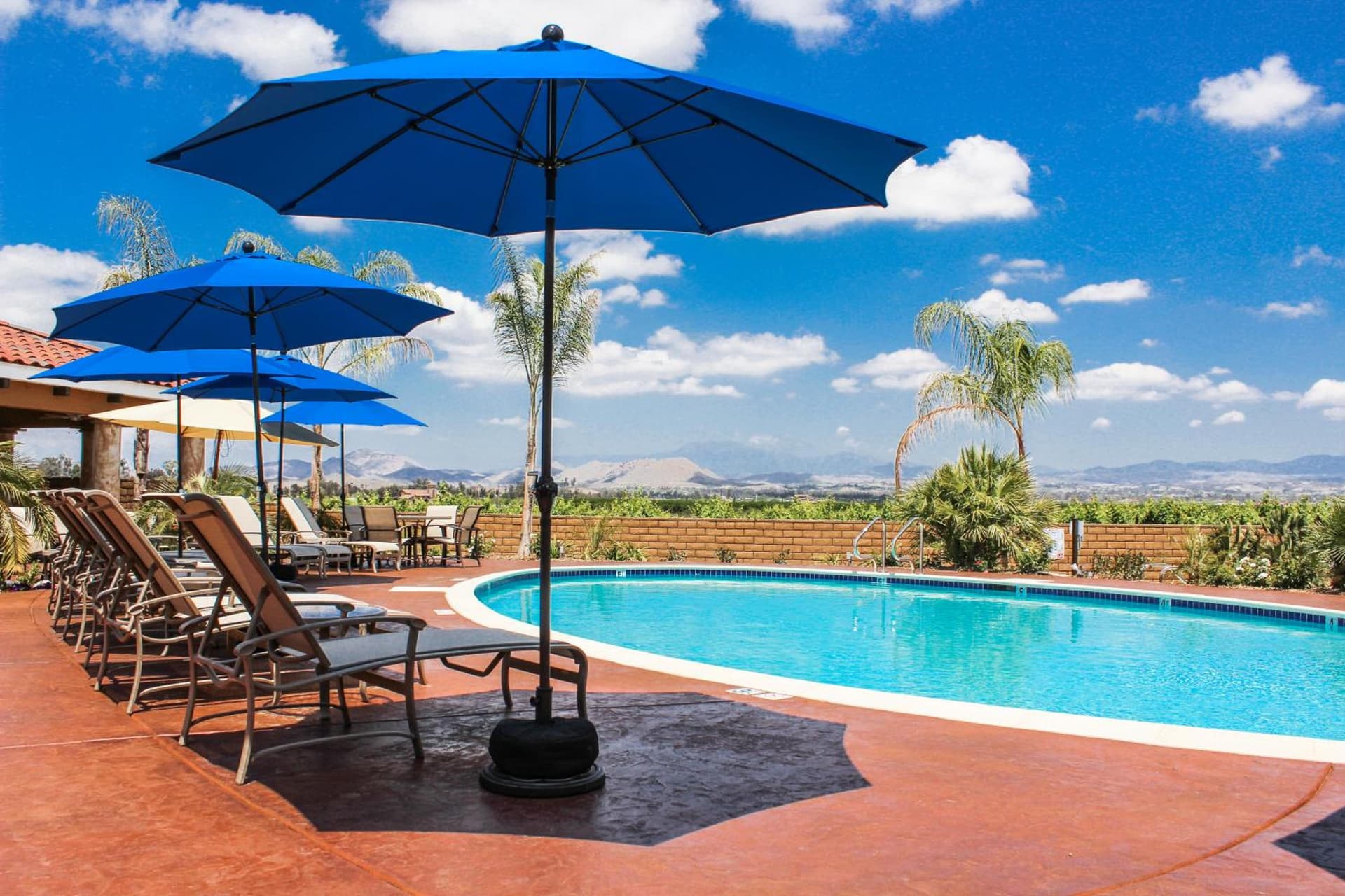Carter Estate Winery and Resort gallery photo in Temecula, CA — image 11