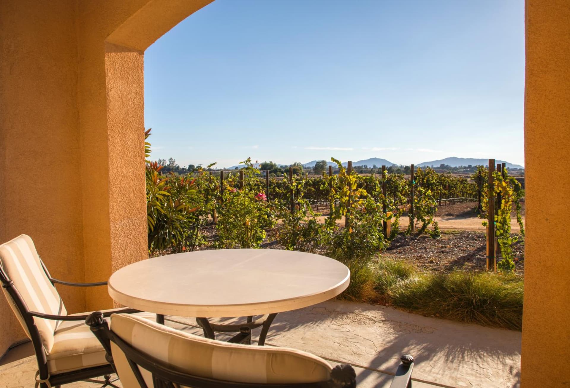 Carter Estate Winery and Resort gallery photo in Temecula, CA — image 29