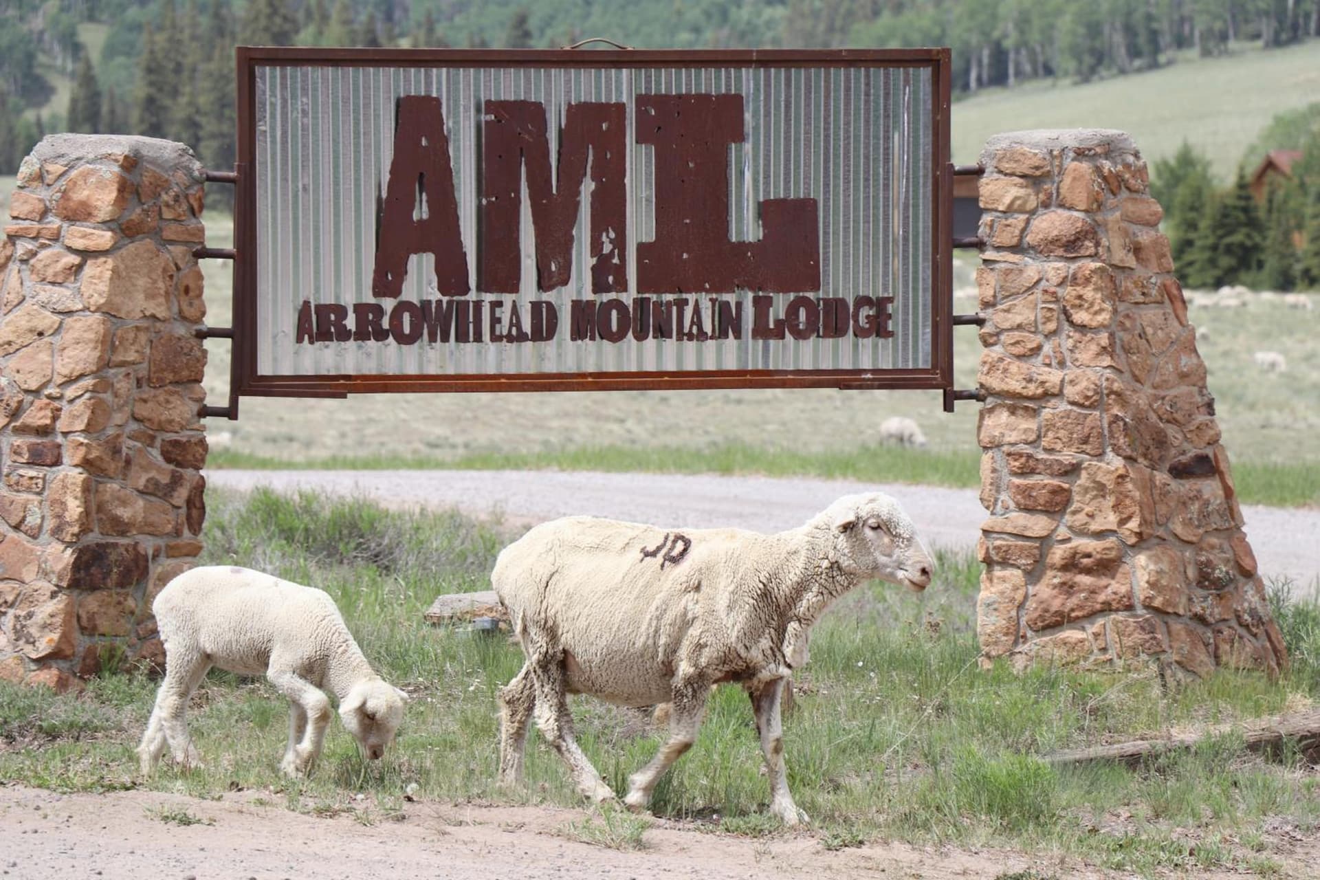 Arrowhead Mountain Lodge interior in Cimarron — gallery photo 2