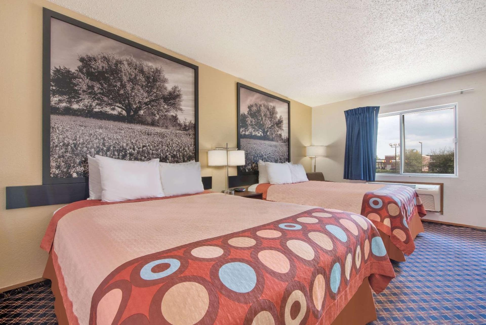 Super 8 by Wyndham College Station gallery photo in College Station, TX — image 38