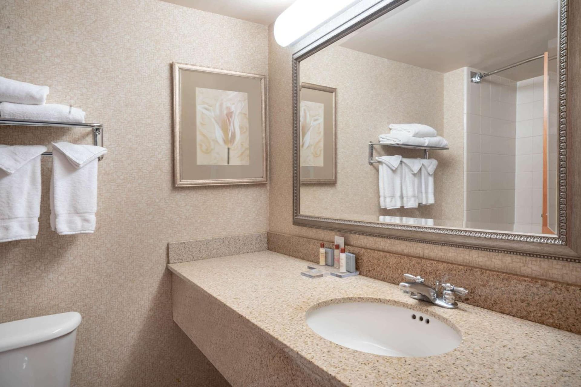 Wingate by Wyndham Charlotte Airport gallery photo in Charlotte, NC — image 19