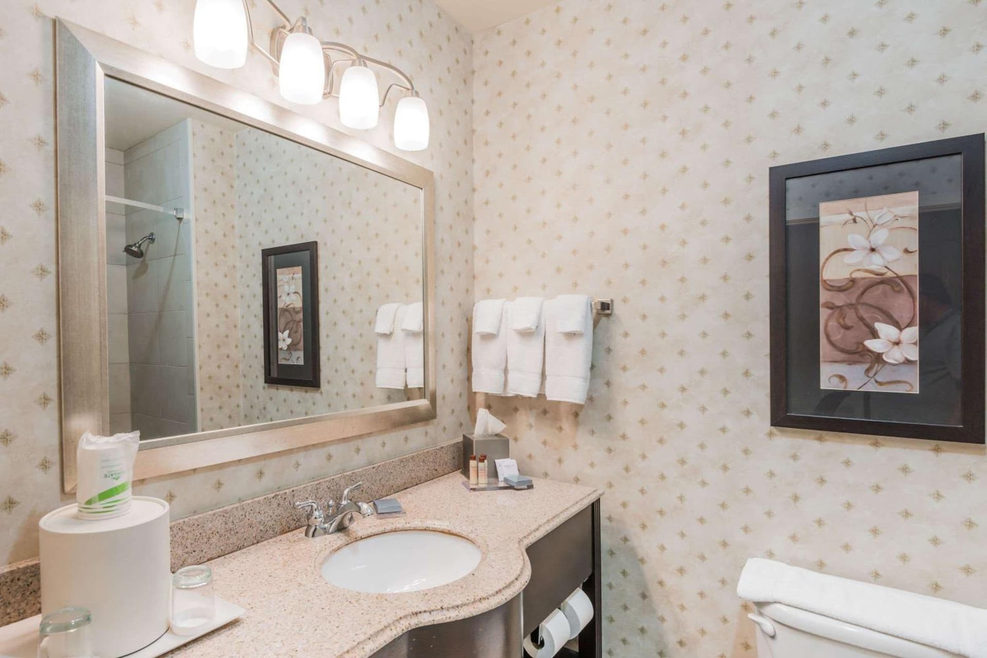 Wingate by Wyndham New Braunfels gallery photo in New Braunfels, TX — image 20