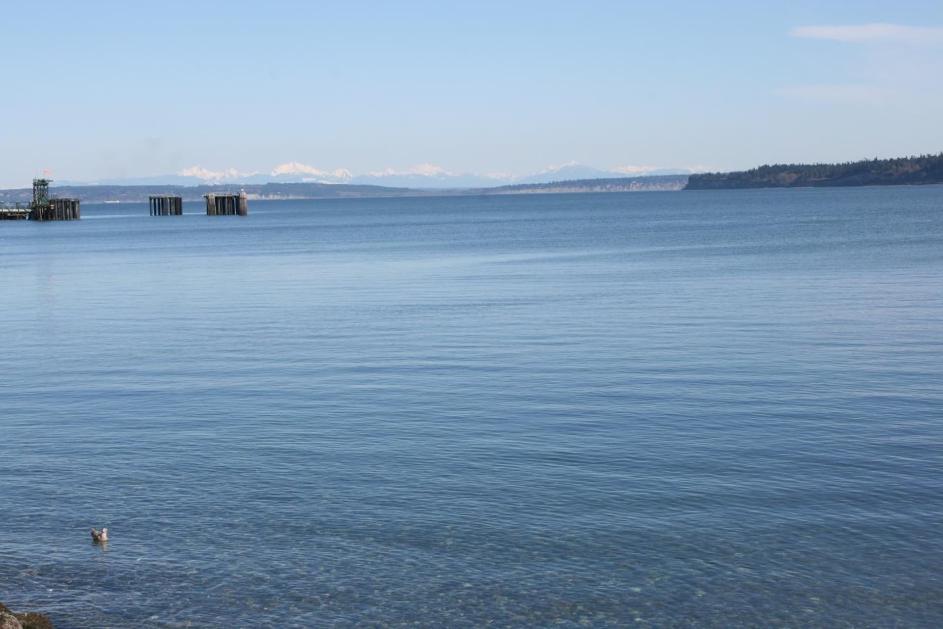 Tides Inn & Suites gallery photo in Port Townsend, WA — image 42