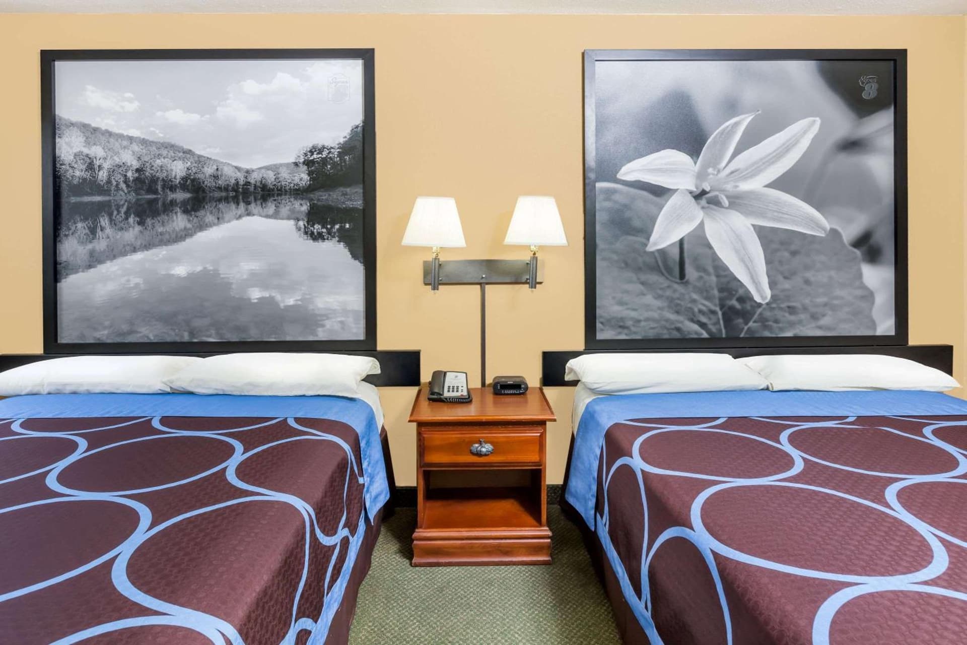 Super 8 by Wyndham Pine Bluff property views in Pine Bluff, AR — gallery photo 3