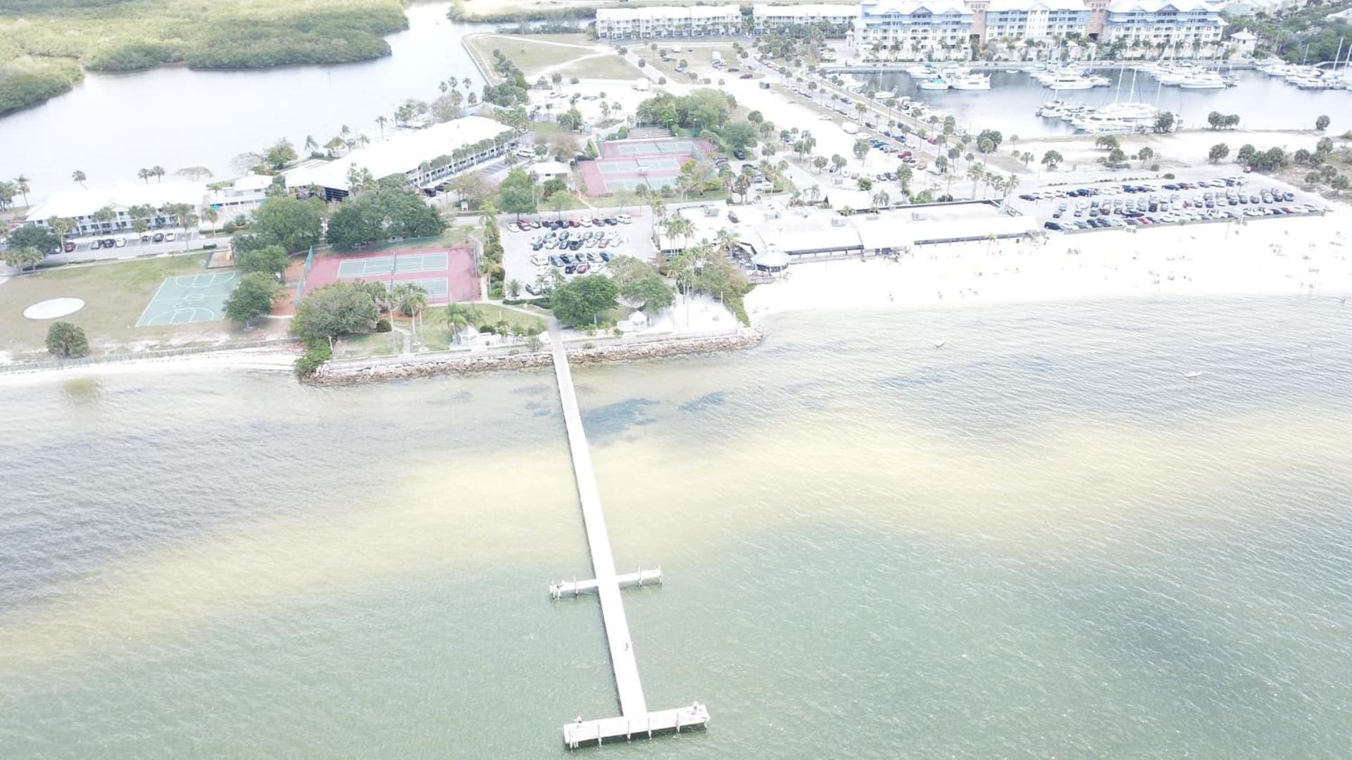 TAMPA BAY, BEACH step away, WIFI, FREE PARKING,POOLS, JACUZZI gallery photo in Ruskin, FL — image 109