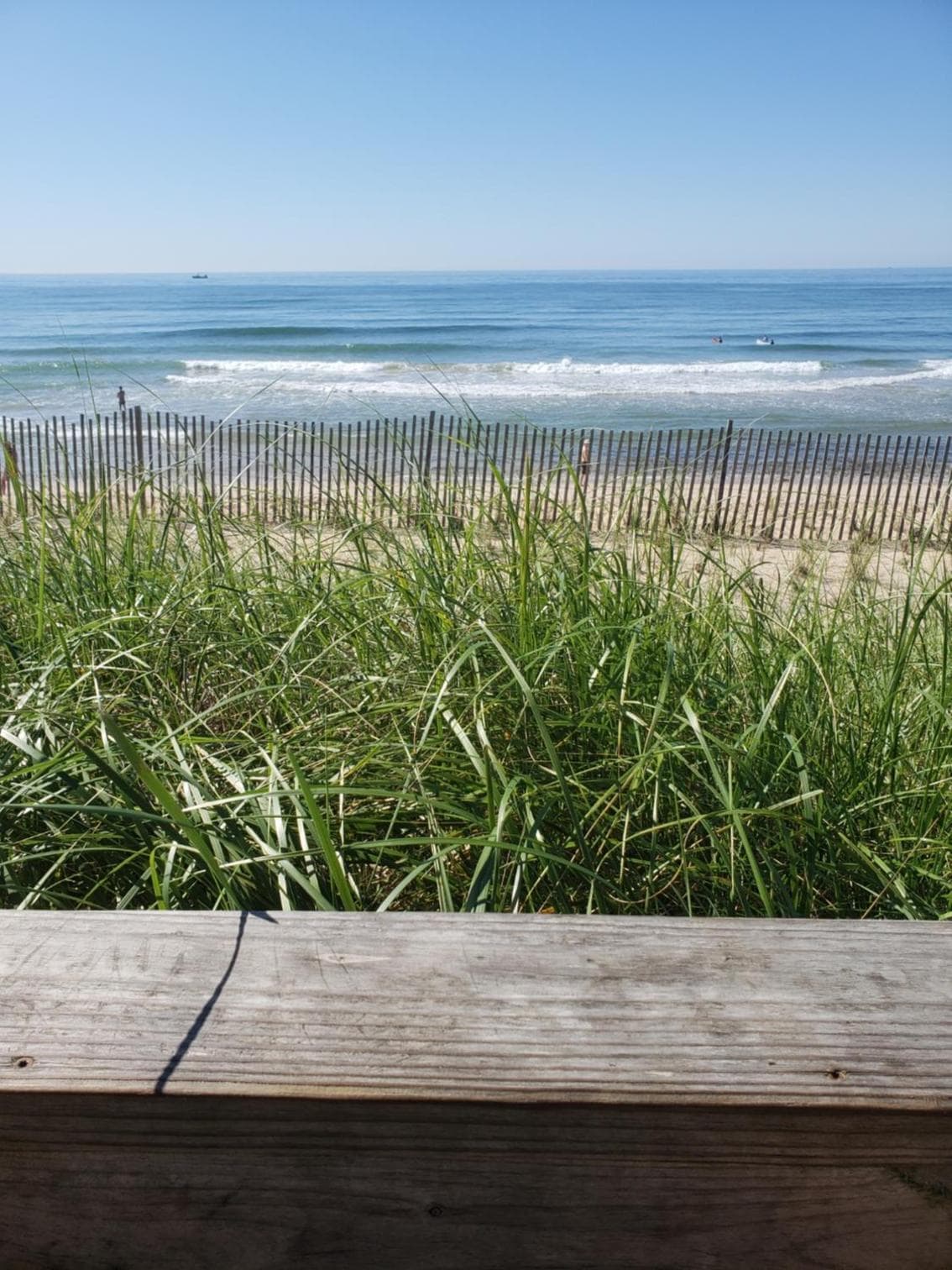 Marram gallery photo in Montauk, NY — image 17