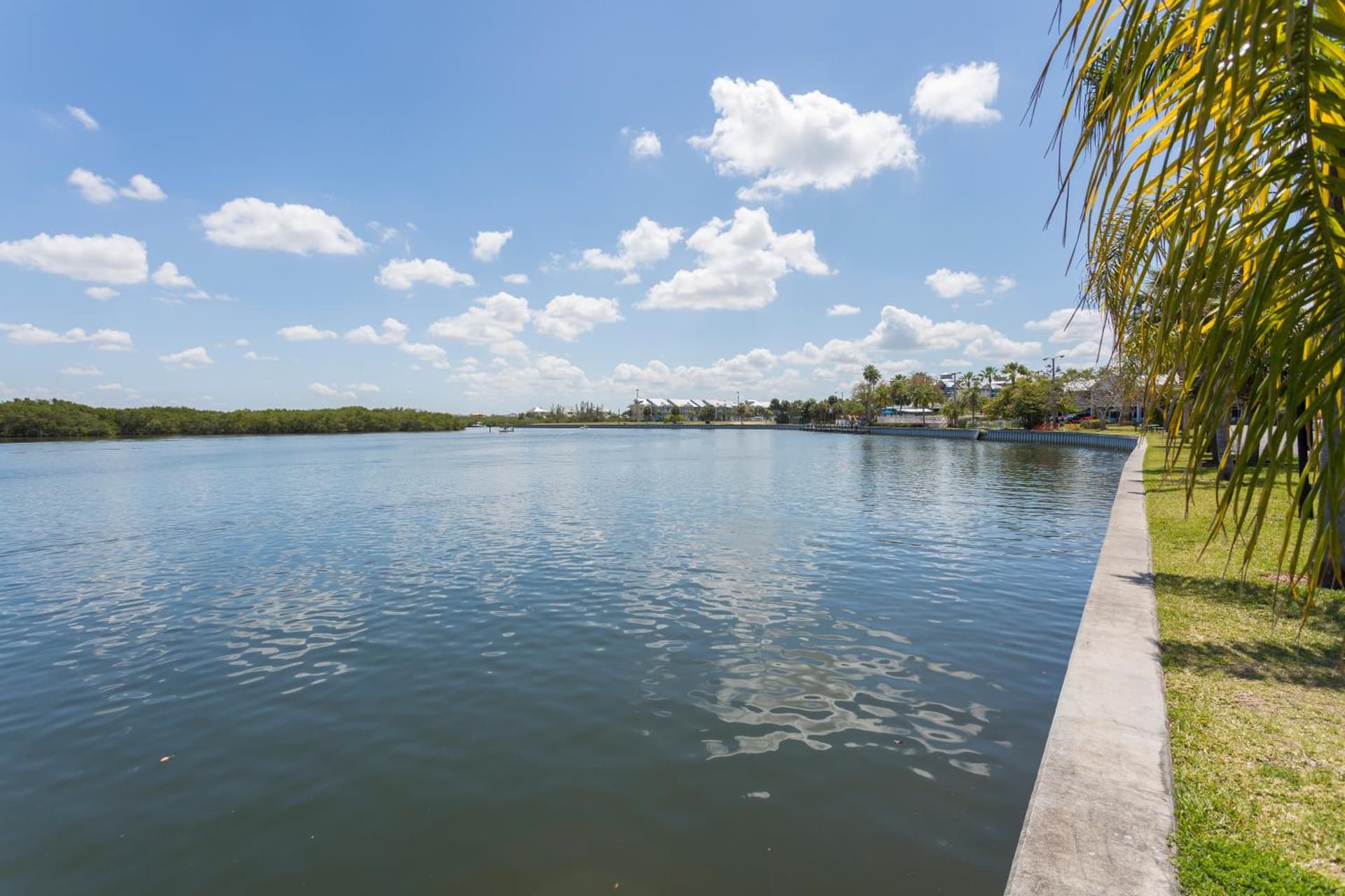 TAMPA BAY, BEACH step away, WIFI, FREE PARKING,POOLS, JACUZZI gallery photo in Ruskin, FL — image 69