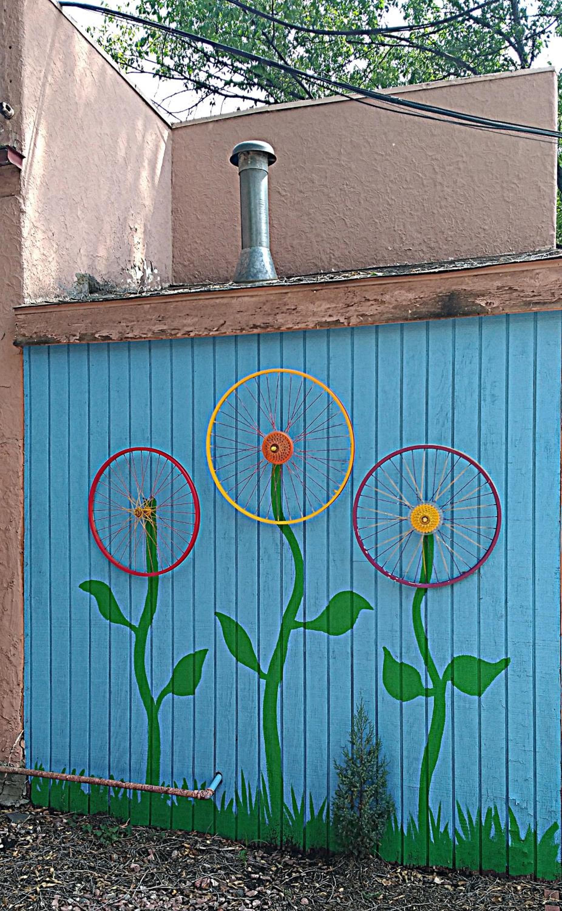 Buffalo Lodge Bicycle Resort gallery photo in Colorado Springs, CO — image 18