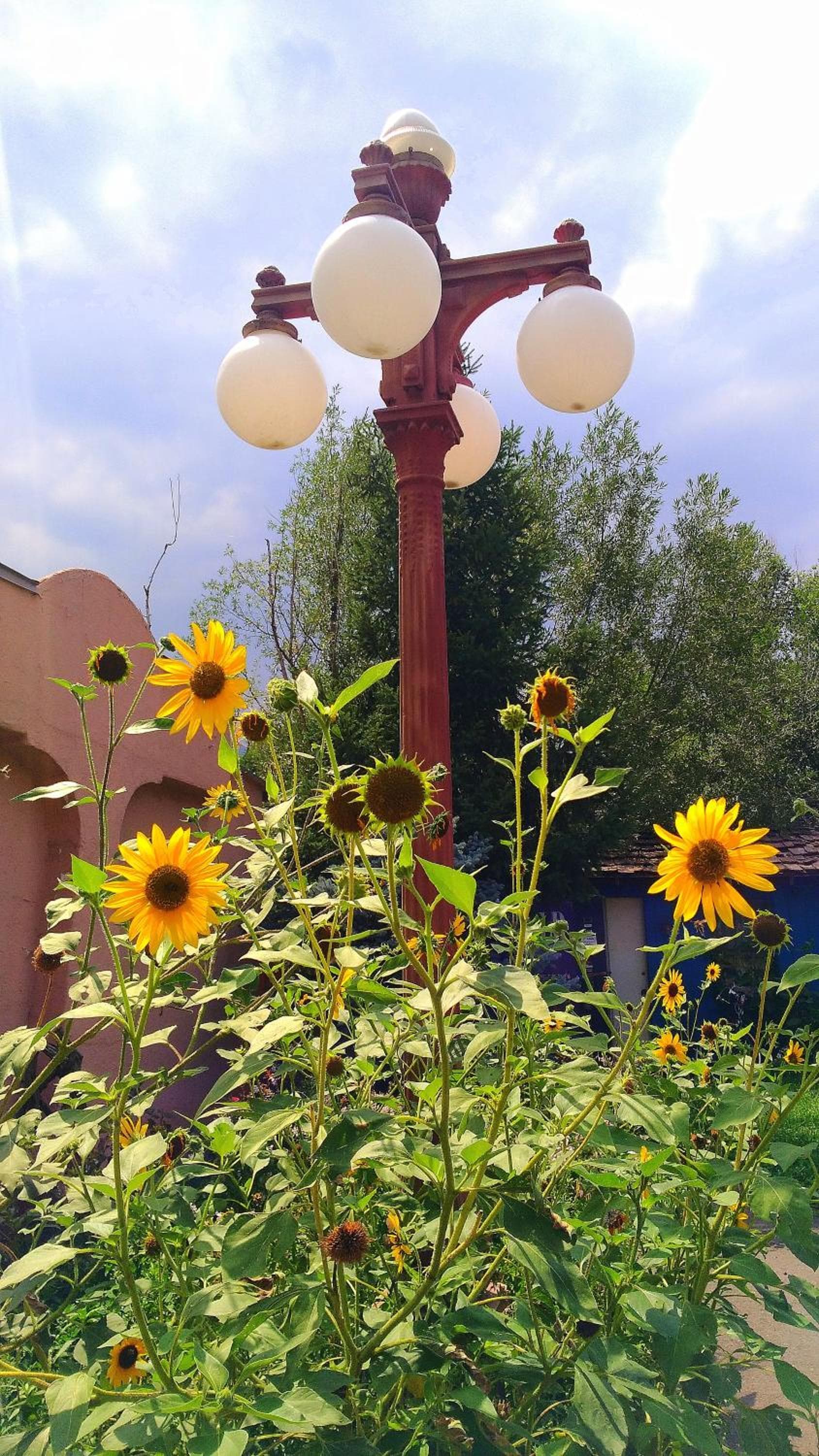 Buffalo Lodge Bicycle Resort gallery photo in Colorado Springs, CO — image 79