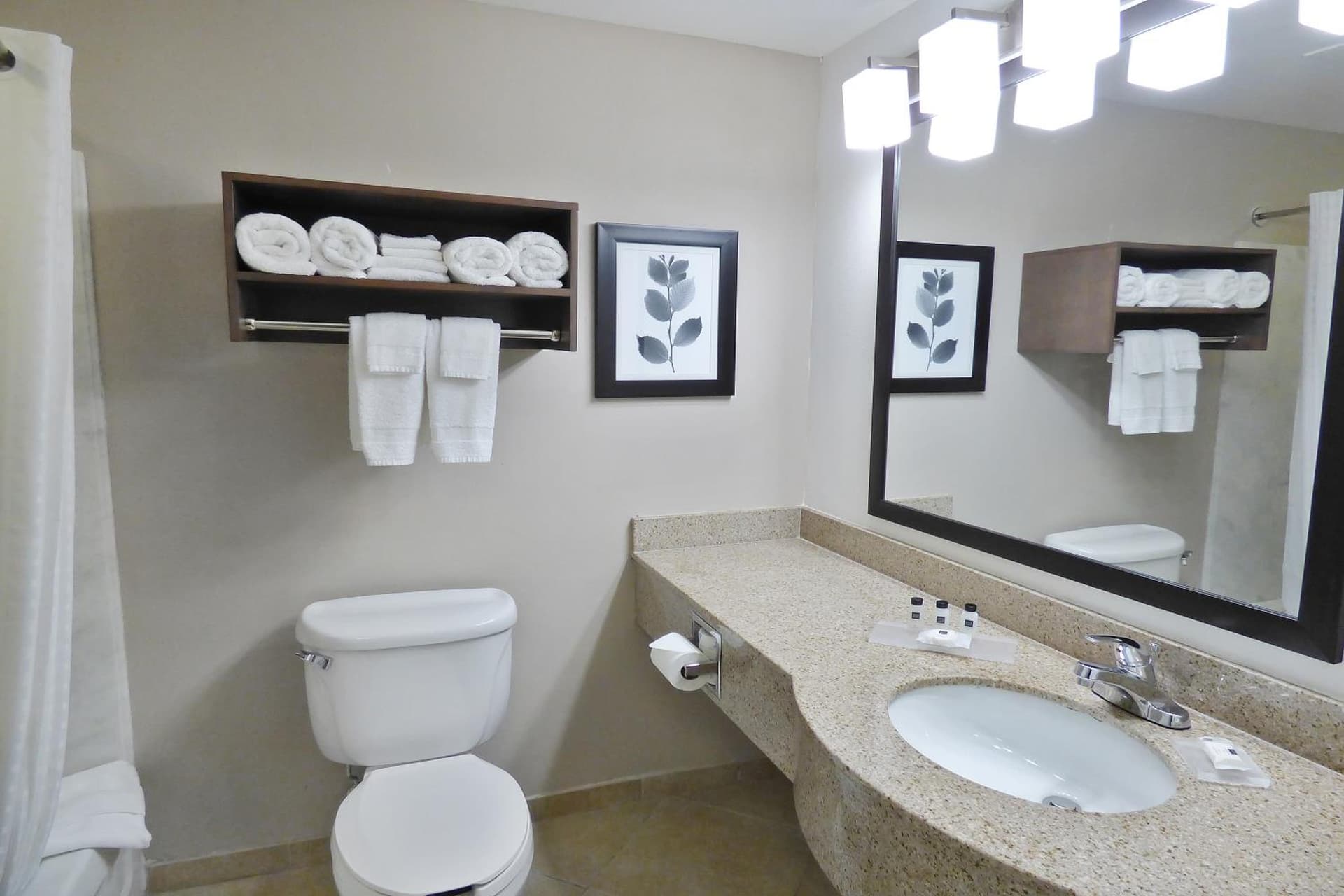 Country Inn & Suites by Radisson, Tampa-Brandon, FL gallery photo in Tampa, FL — image 29