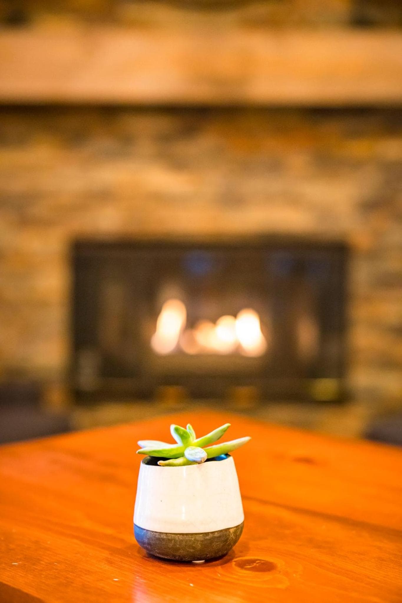 Pine Ridge Inn gallery photo in Bend, OR — image 33