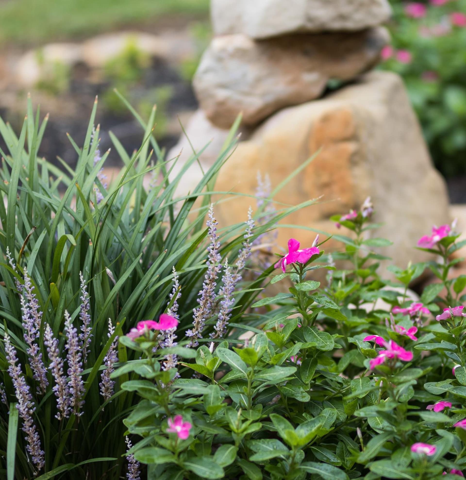 Vineyard Court Designer Suites Hotel gallery photo in College Station, TX — image 38