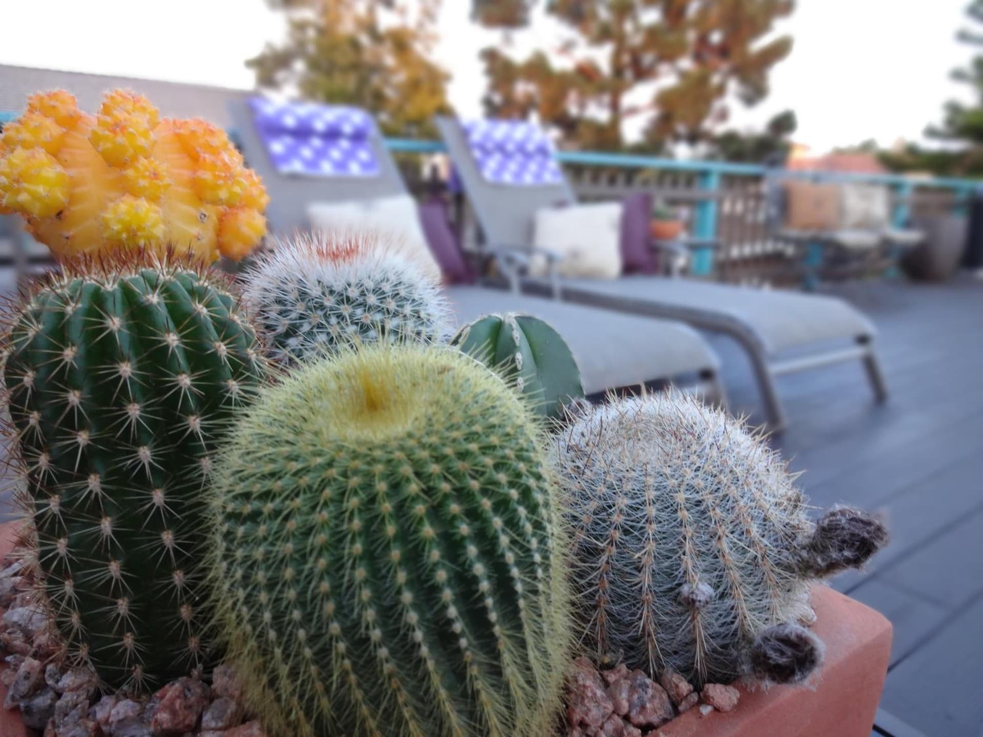 The Presidio gallery photo in Santa Barbara, CA — image 37