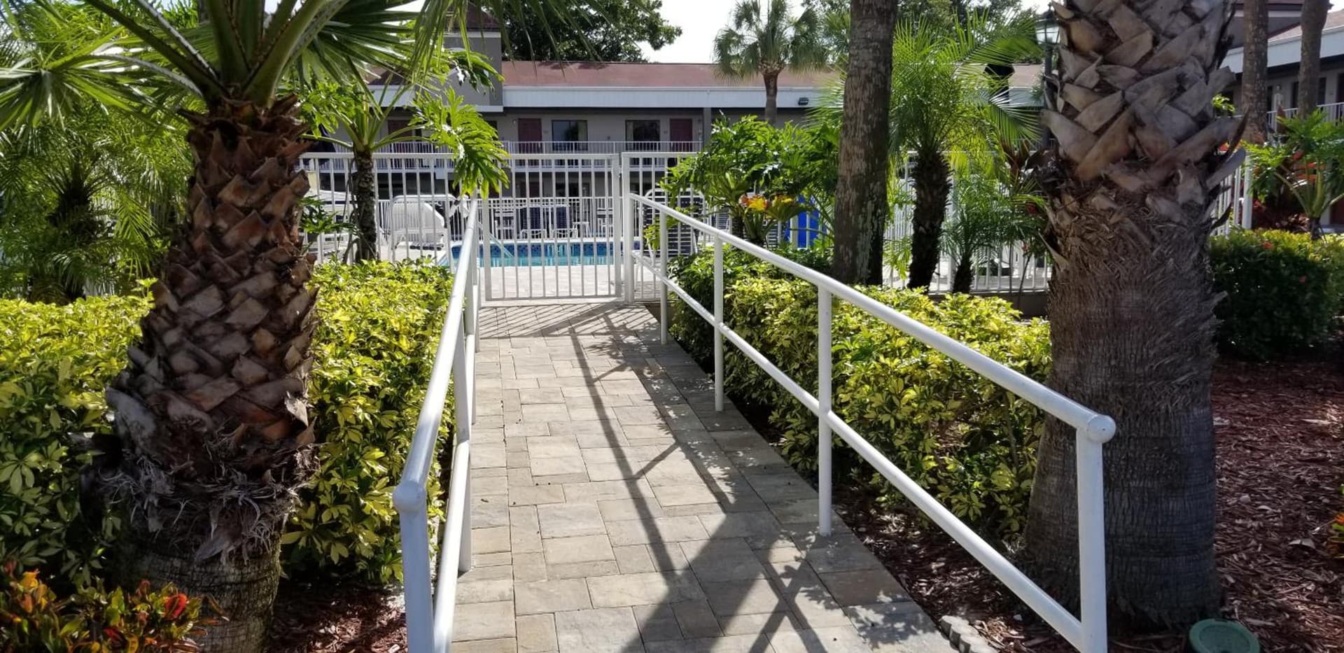 Hotel South Tampa & Suites gallery photo in Tampa, FL — image 32