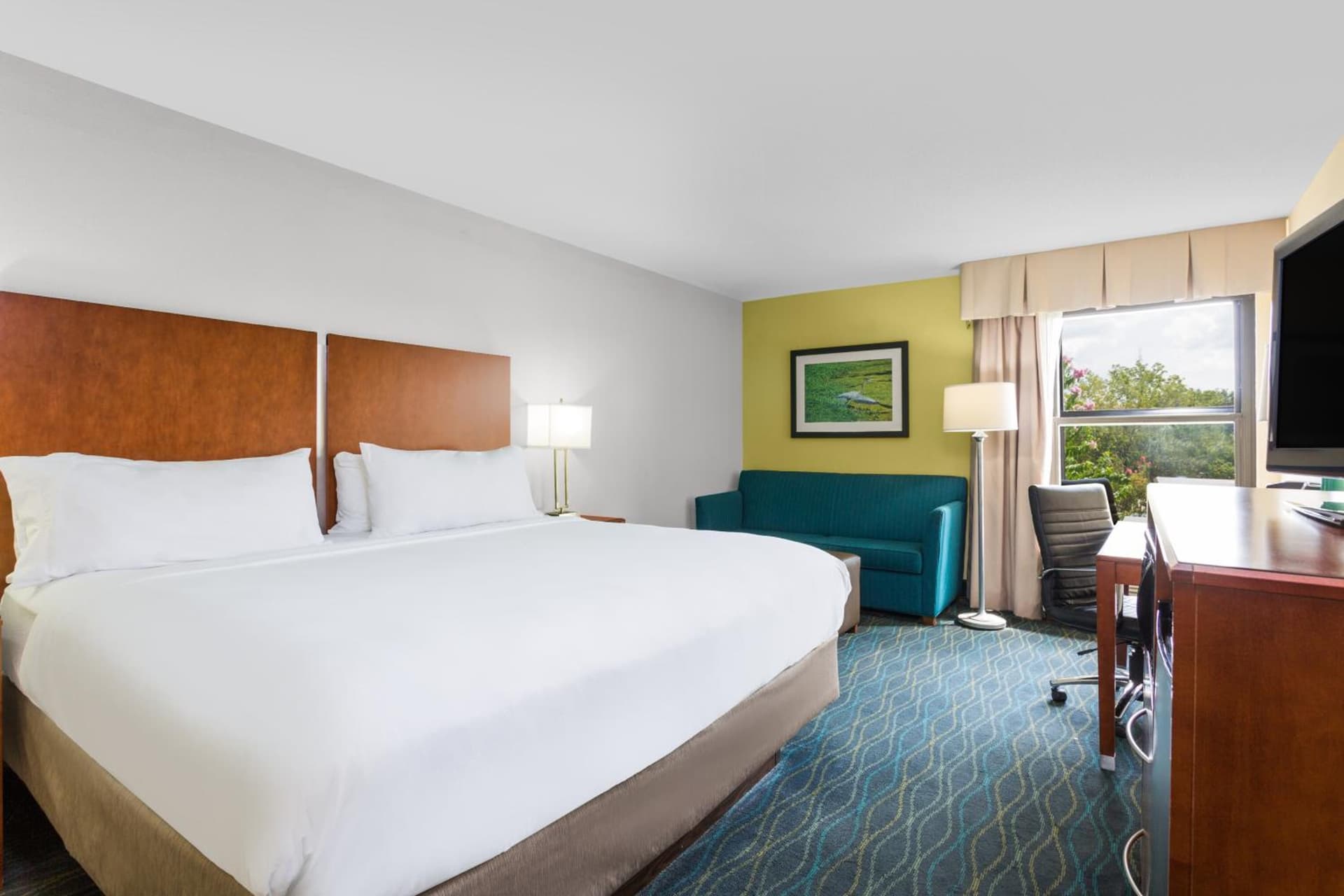 Holiday Inn Express & Suites Wilmington-University Center by IHG property views in Wilmington, NC — gallery photo 3