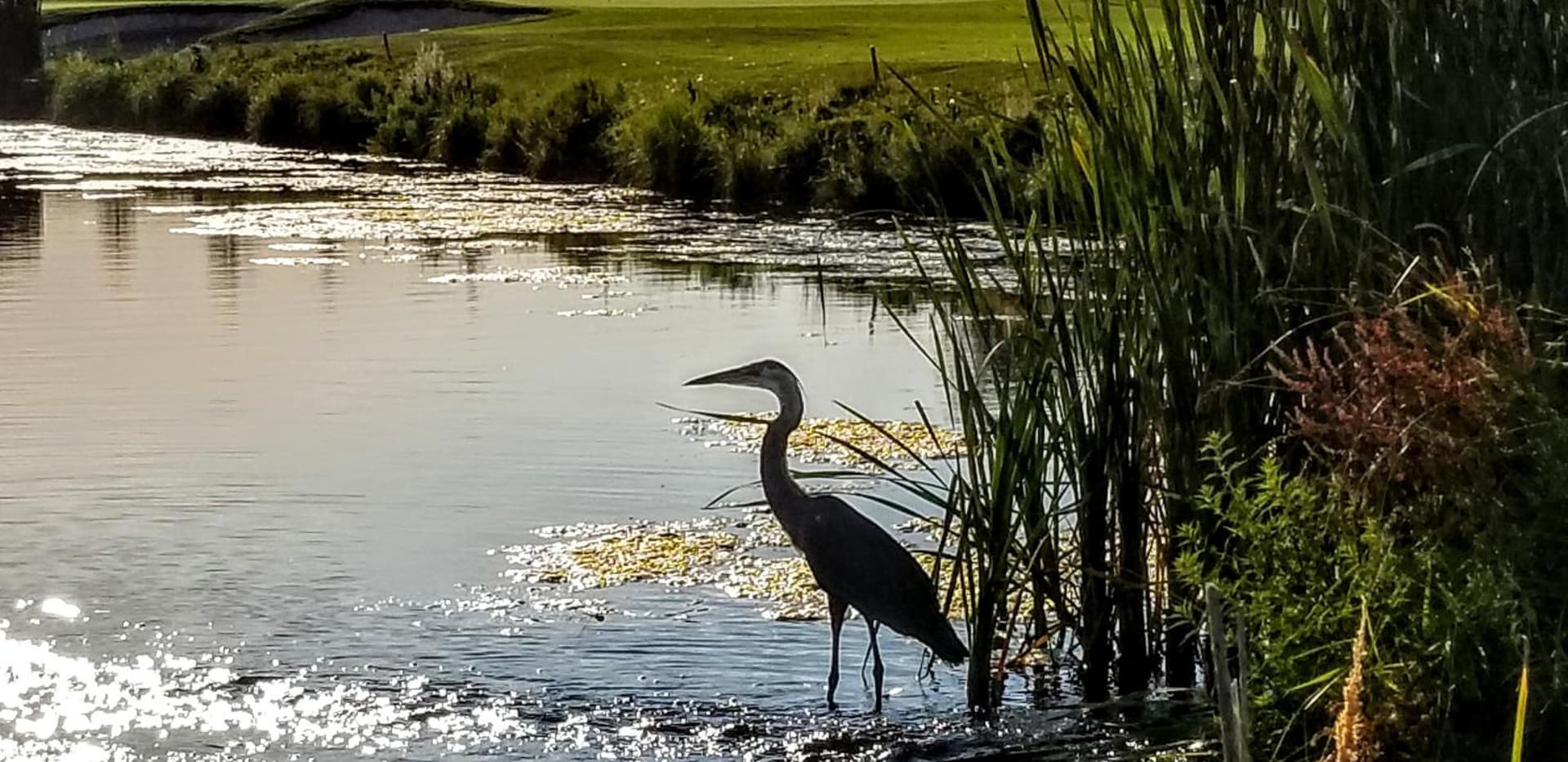 Resort at Eagle Point Golf Club Lodging gallery photo in Medford, OR — image 41