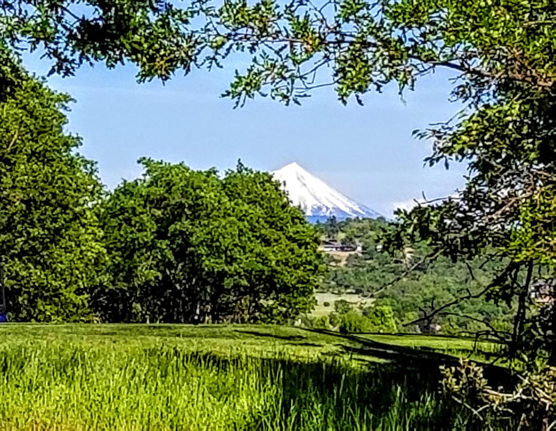 Resort at Eagle Point Golf Club Lodging gallery photo in Medford, OR — image 23