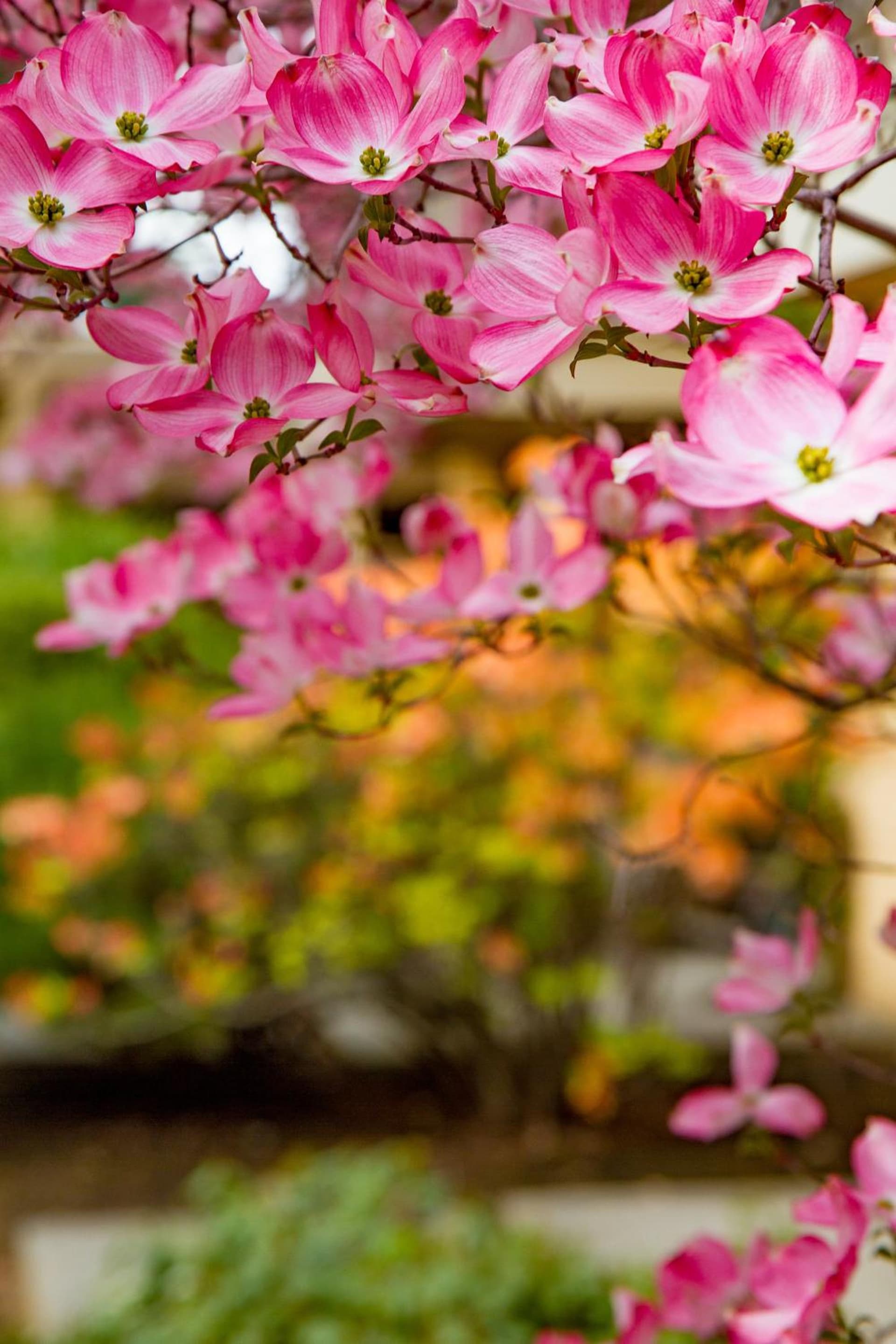 Mirabeau Park Hotel gallery photo in Spokane Valley, WA — image 12