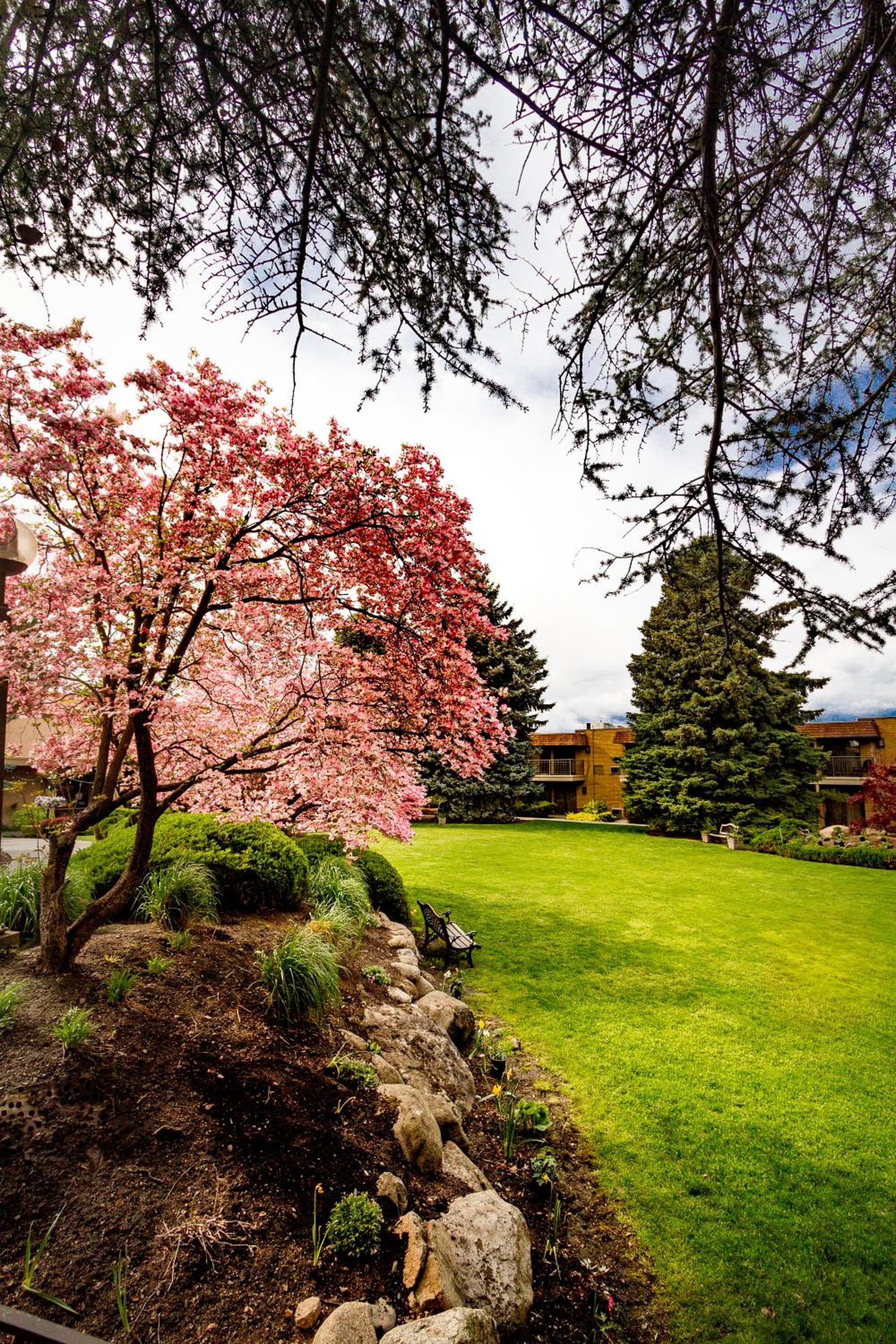 Mirabeau Park Hotel gallery photo in Spokane Valley, WA — image 25