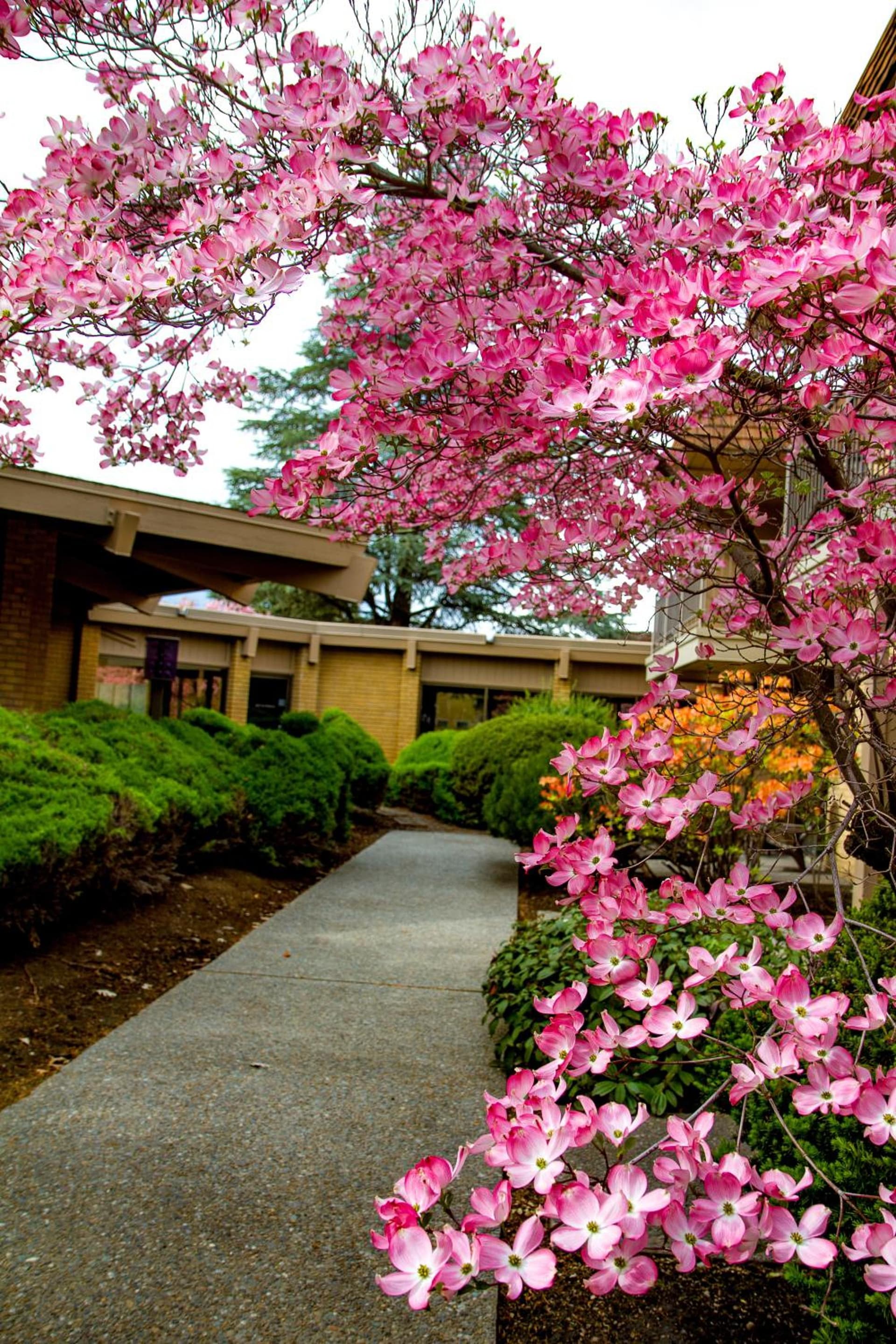 Mirabeau Park Hotel gallery photo in Spokane Valley, WA — image 34