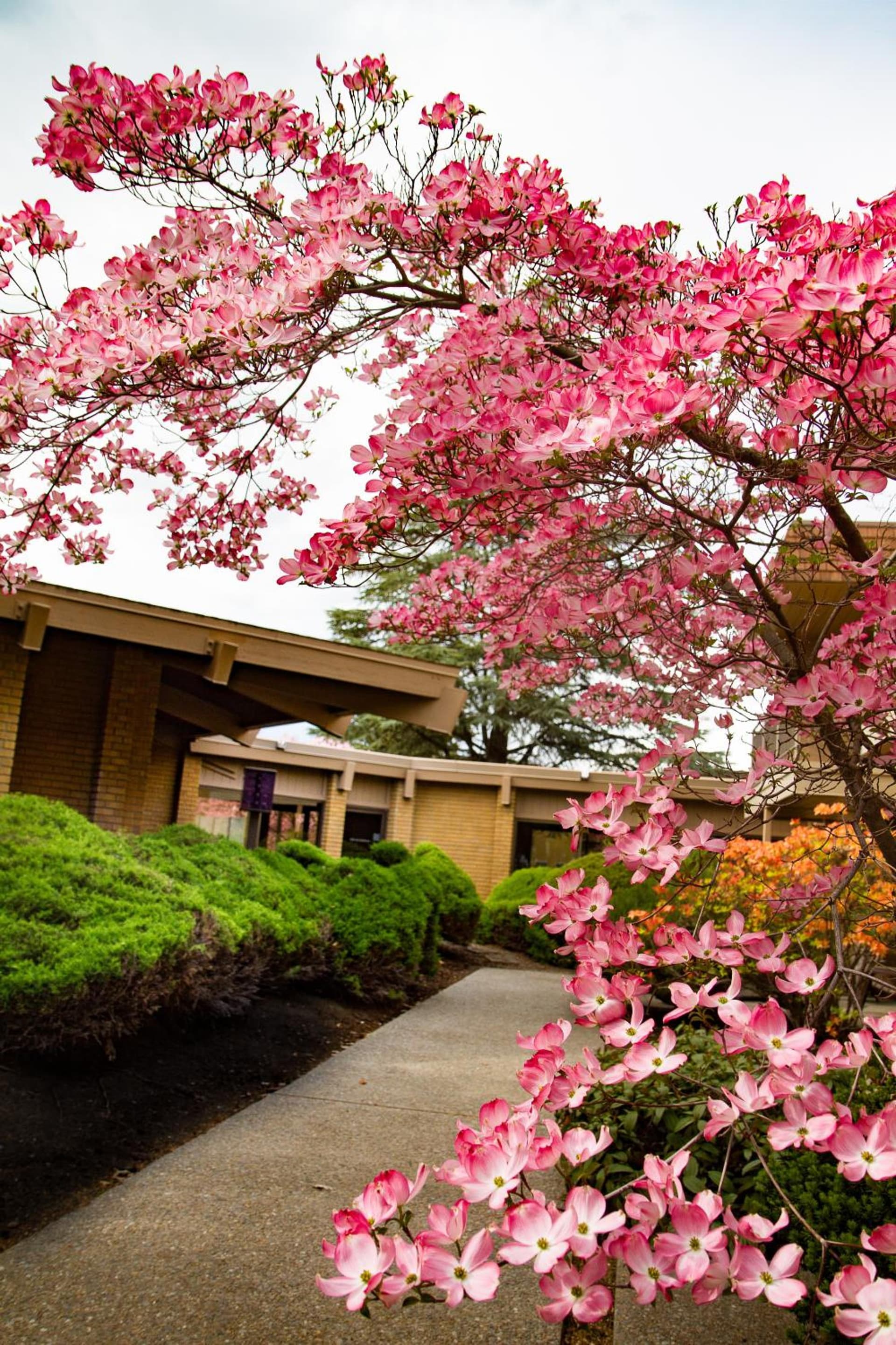 Mirabeau Park Hotel gallery photo in Spokane Valley, WA — image 95