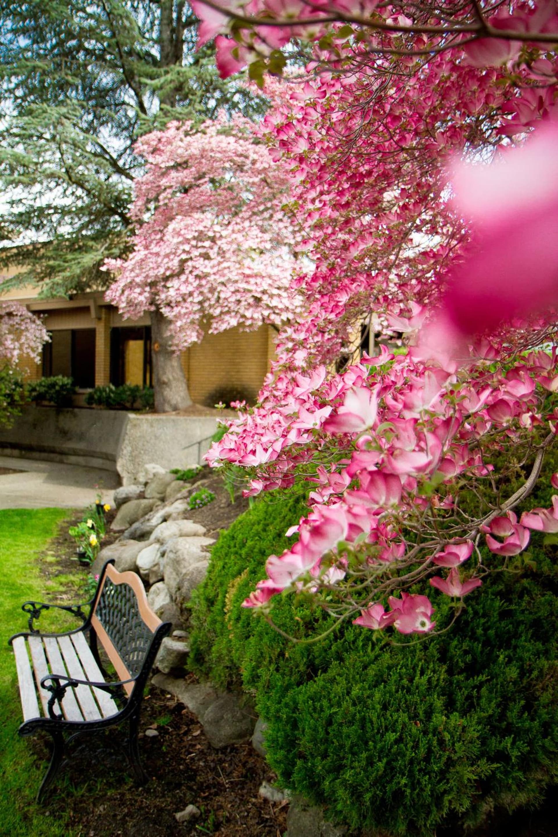 Mirabeau Park Hotel gallery photo in Spokane Valley, WA — image 11