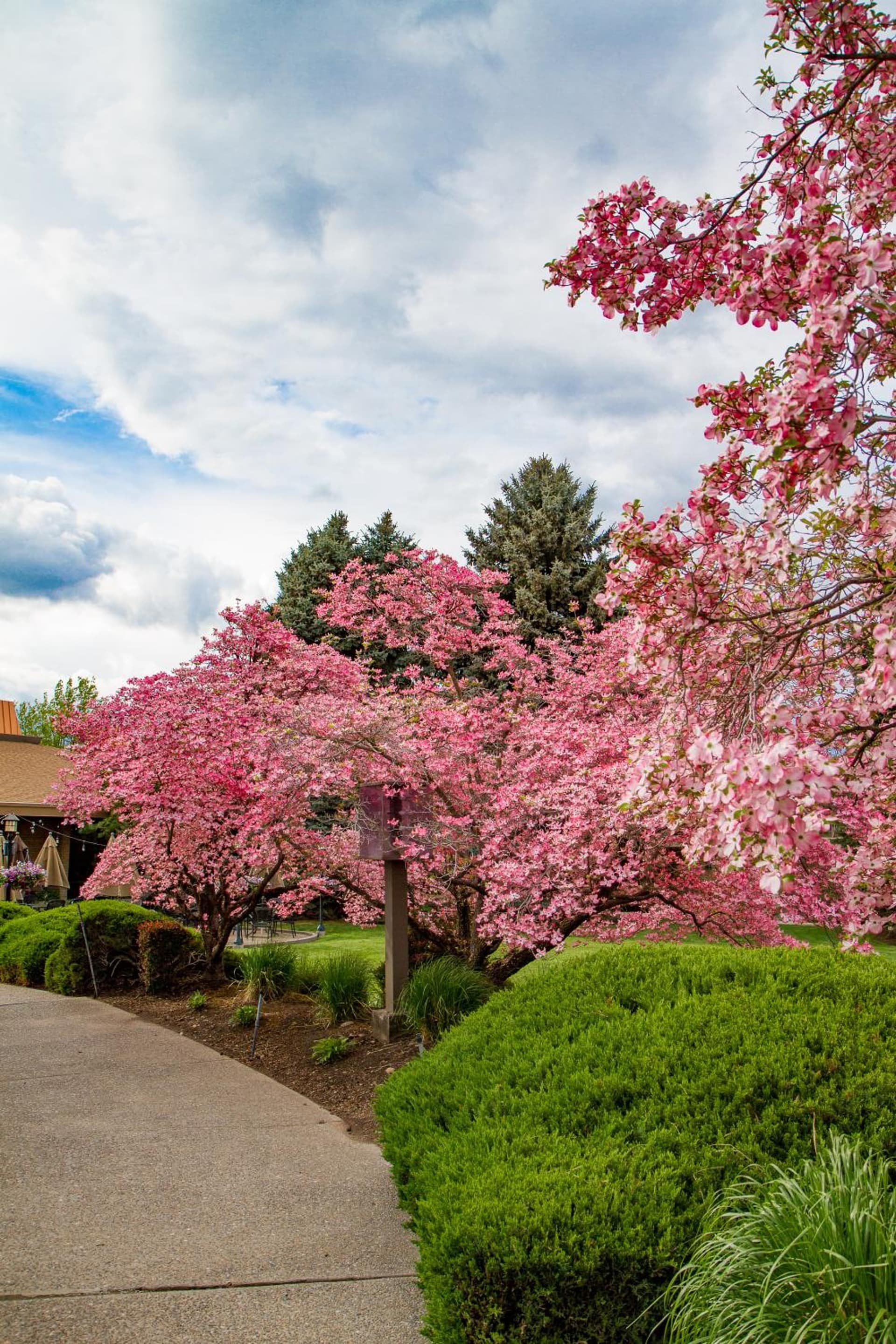 Mirabeau Park Hotel gallery photo in Spokane Valley, WA — image 56