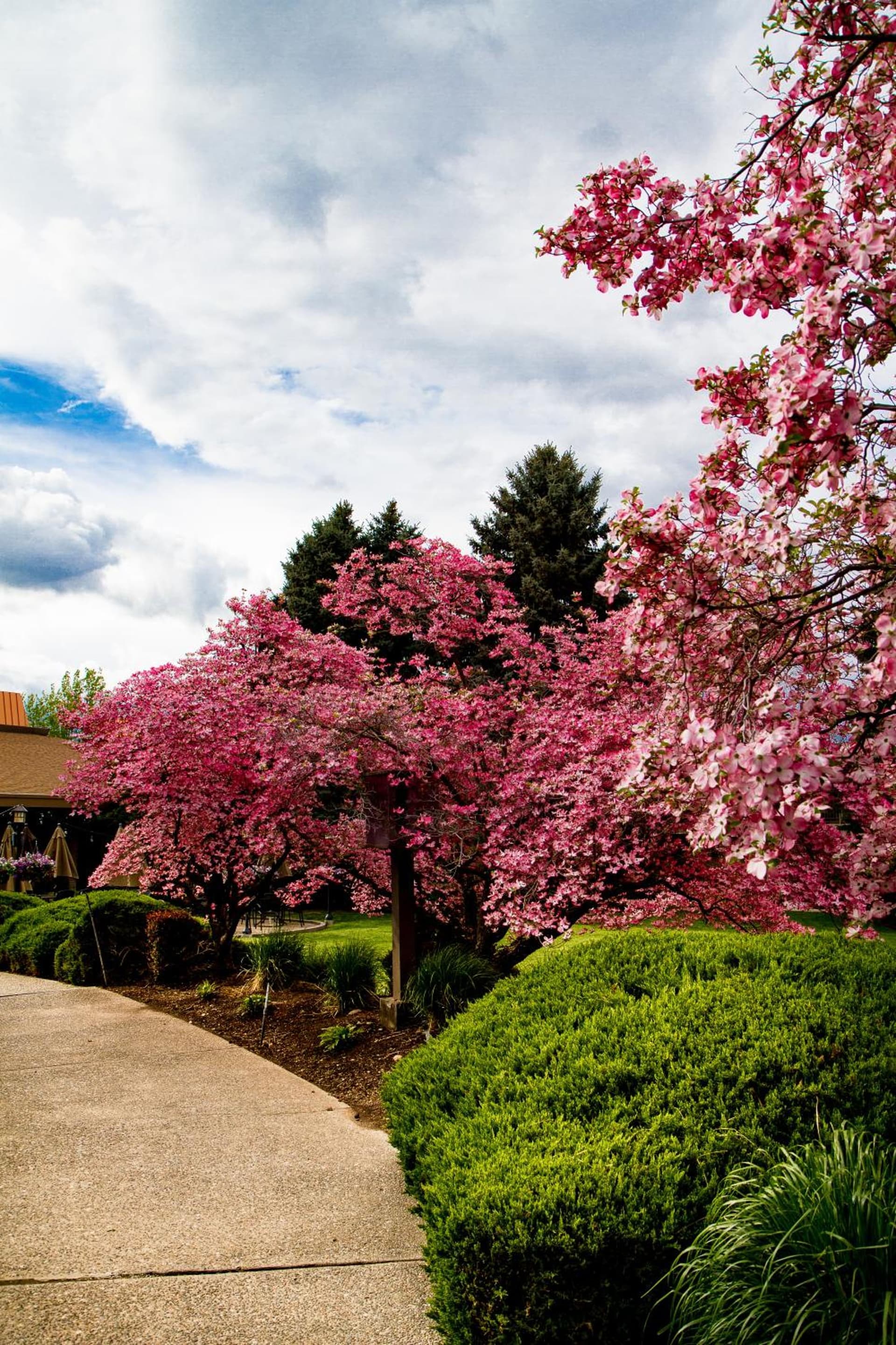Mirabeau Park Hotel gallery photo in Spokane Valley, WA — image 62
