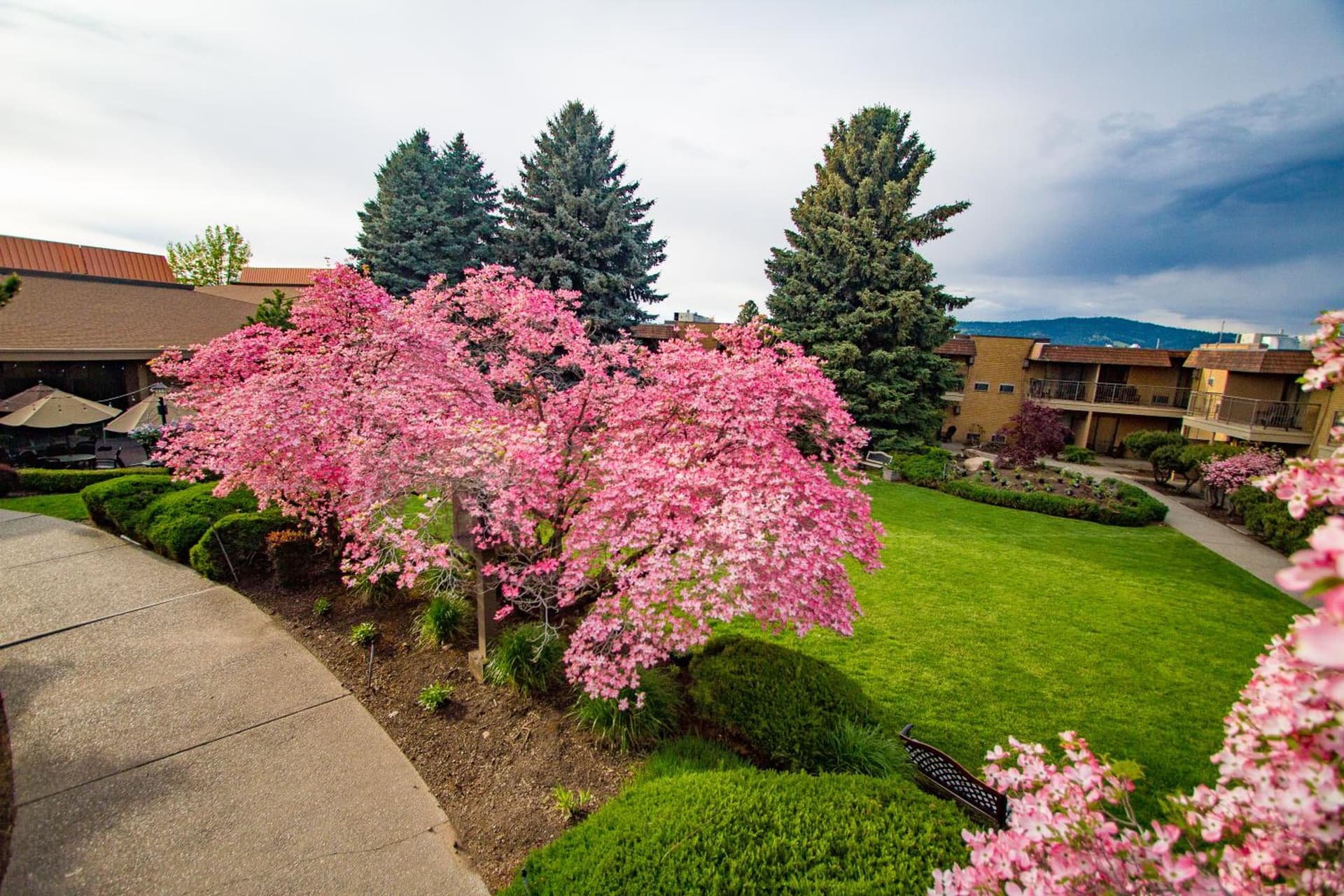 Mirabeau Park Hotel gallery photo in Spokane Valley, WA — image 30