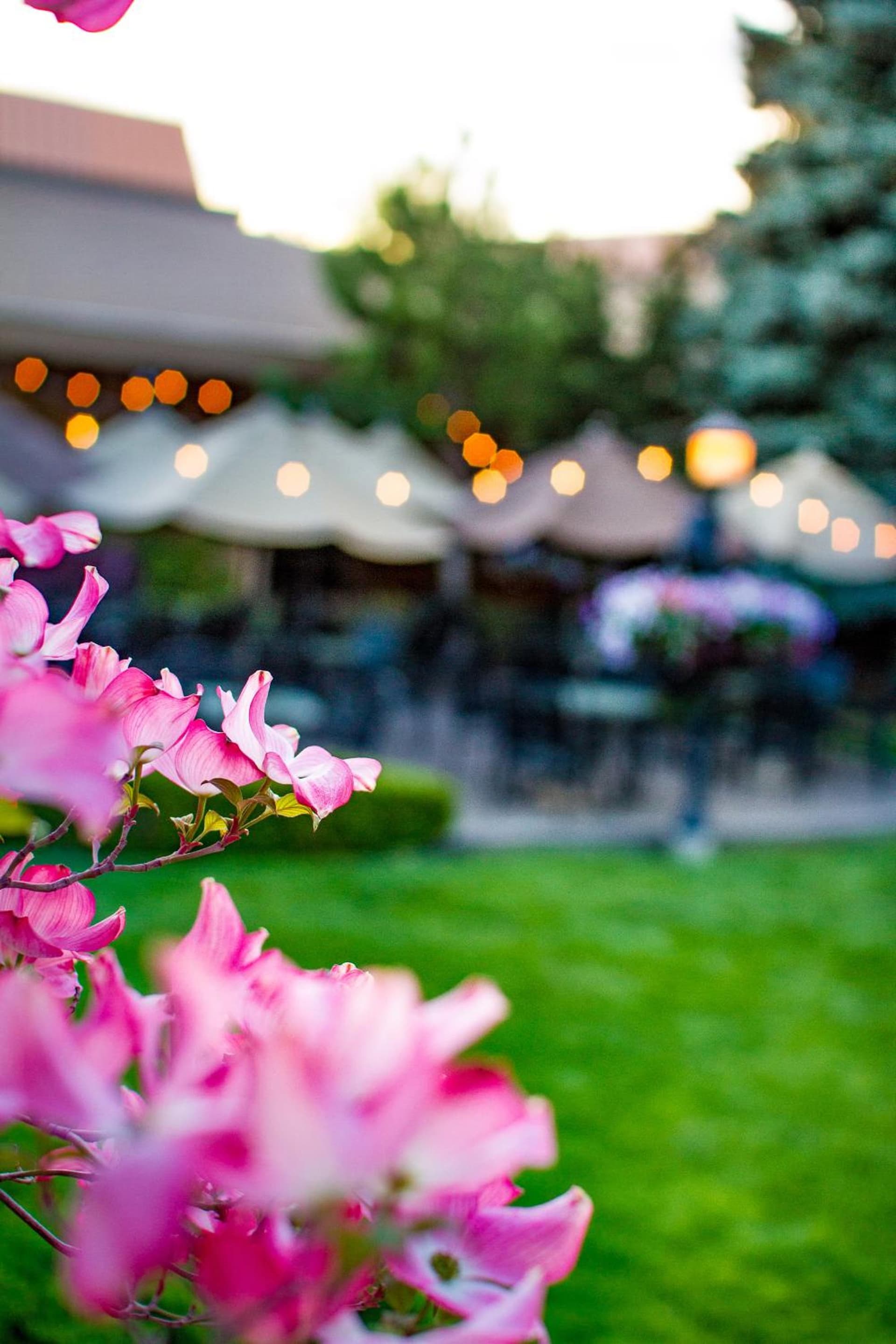 Mirabeau Park Hotel gallery photo in Spokane Valley, WA — image 49