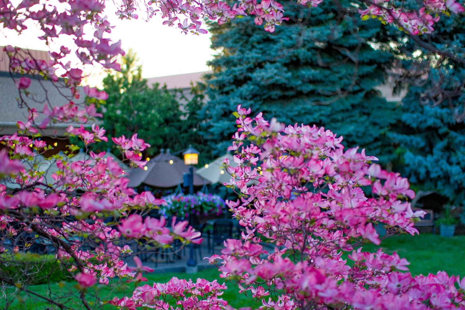 Mirabeau Park Hotel gallery photo in Spokane Valley, WA — image 47