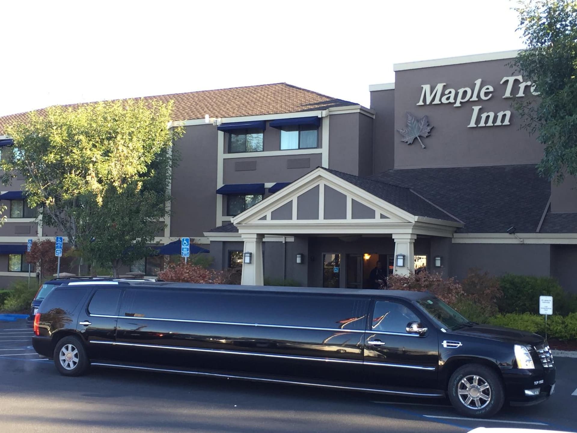 Maple Tree Inn gallery photo in Sunnyvale, CA — image 70