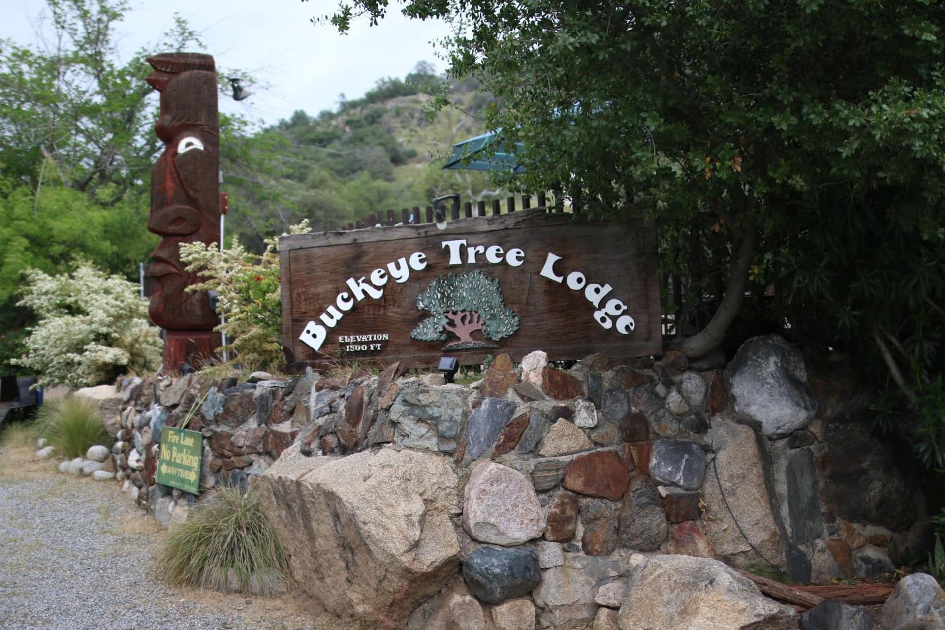Buckeye Tree Lodge gallery photo in Three Rivers, CA — image 24
