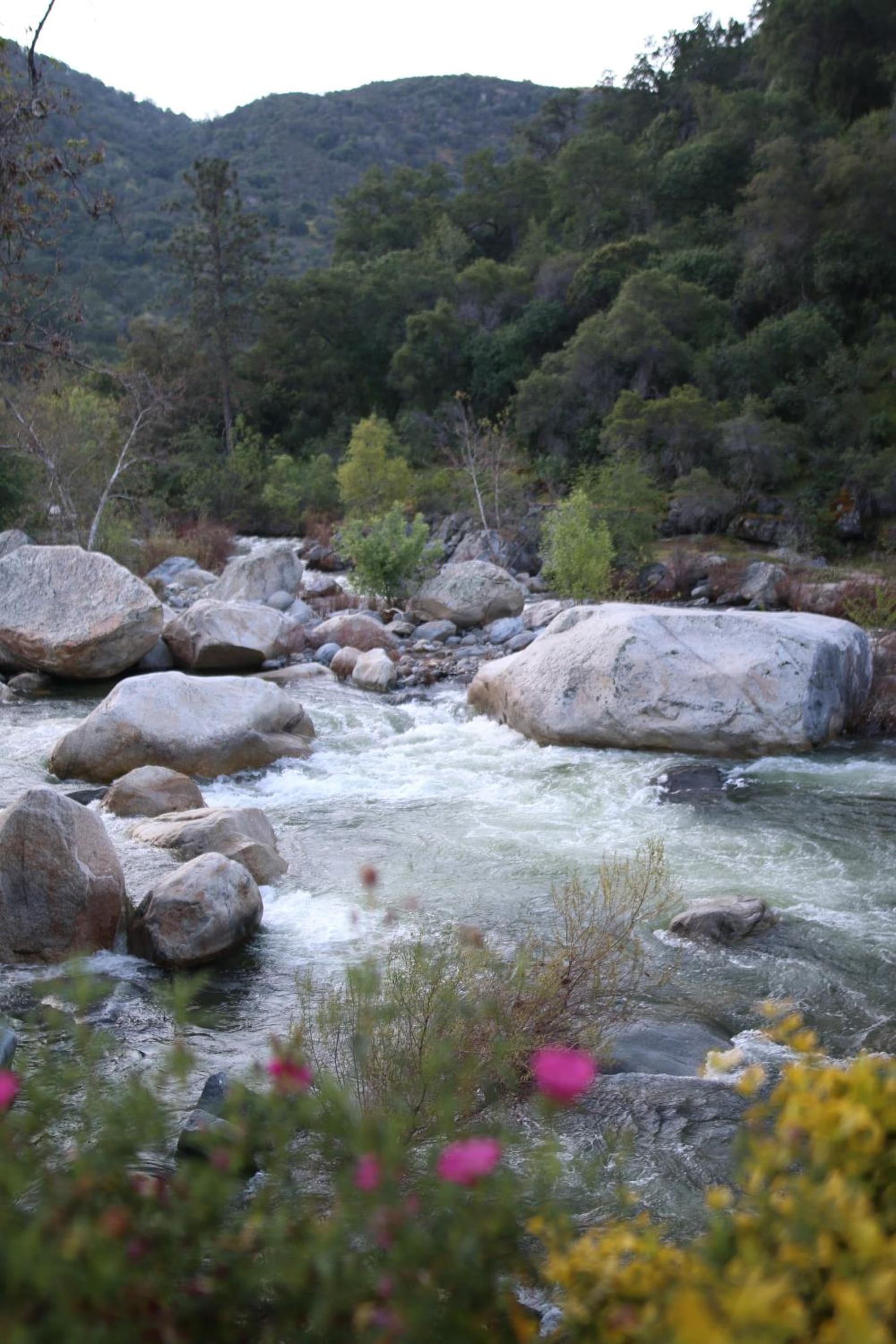 Buckeye Tree Lodge gallery photo in Three Rivers, CA — image 50